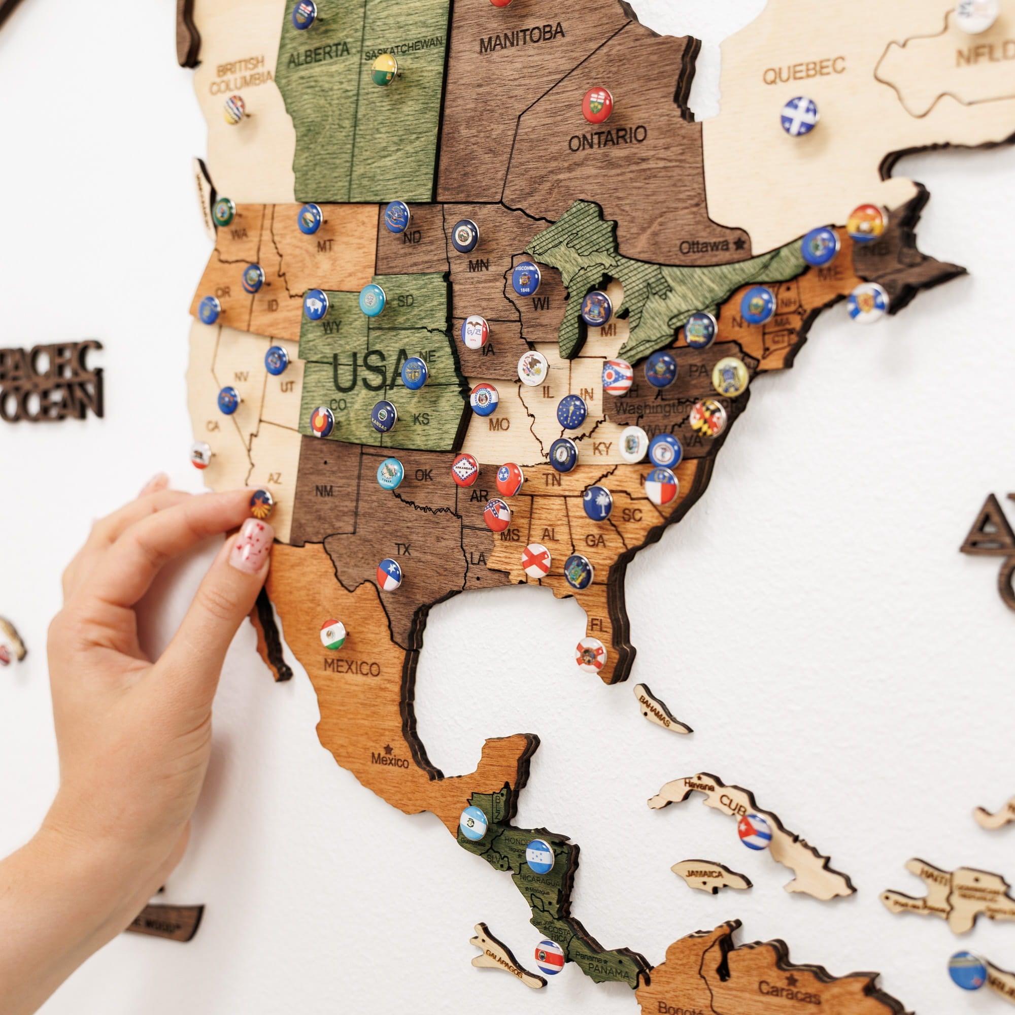 3D Wooden World Map Nature