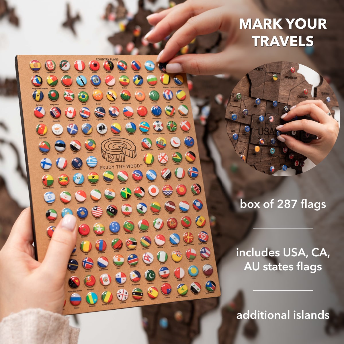wall map pins