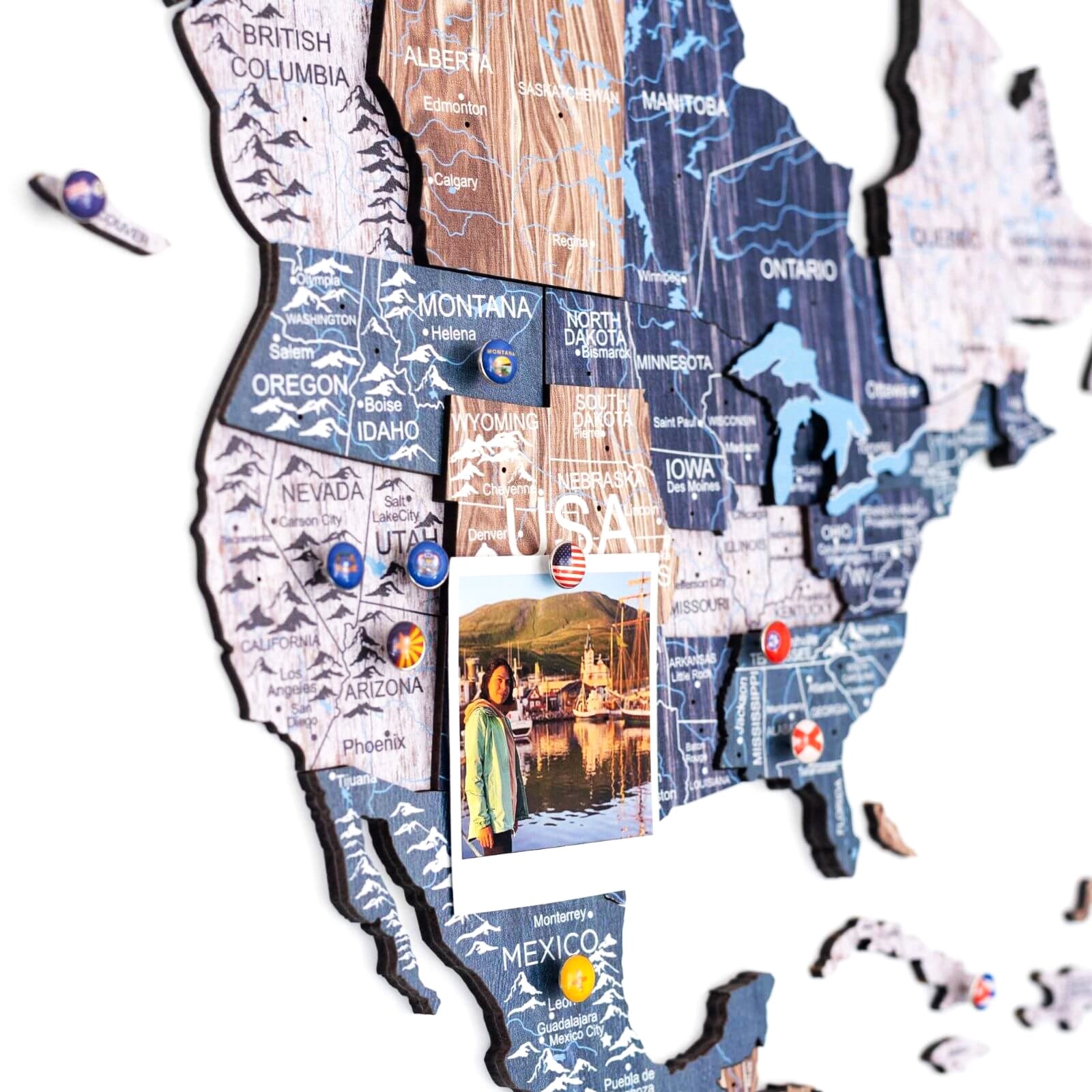 world map push pins
