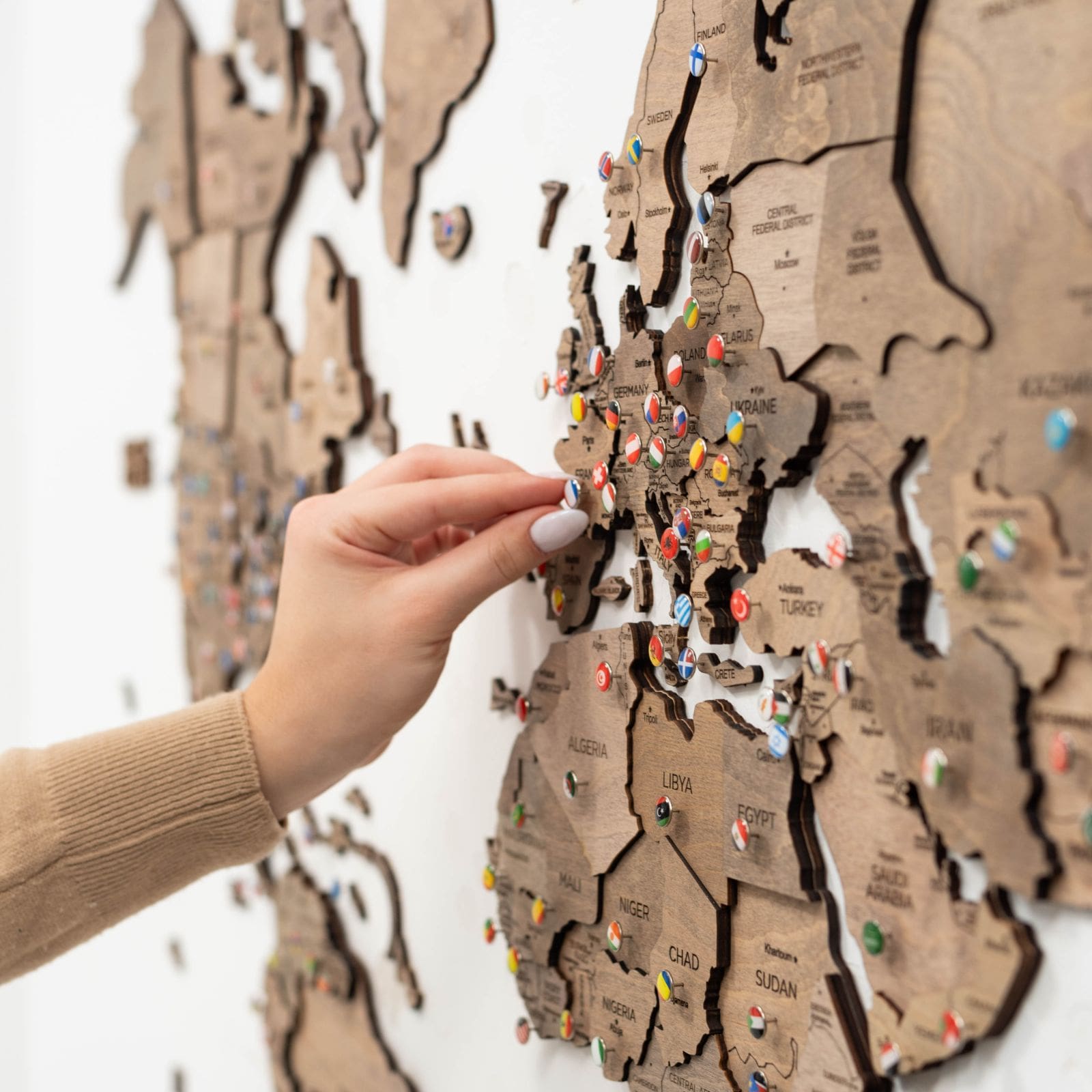 world travel map with pins