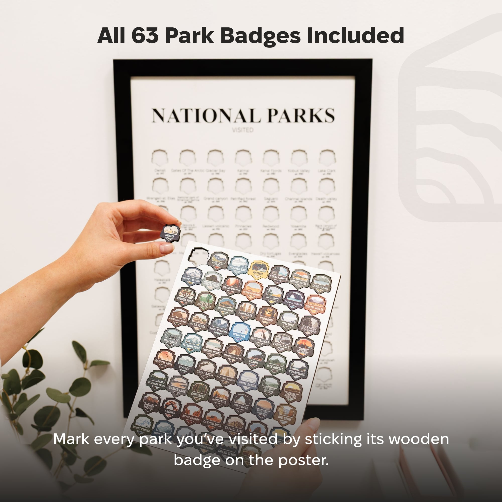 National Parks badge collection with a poster and wooden badge