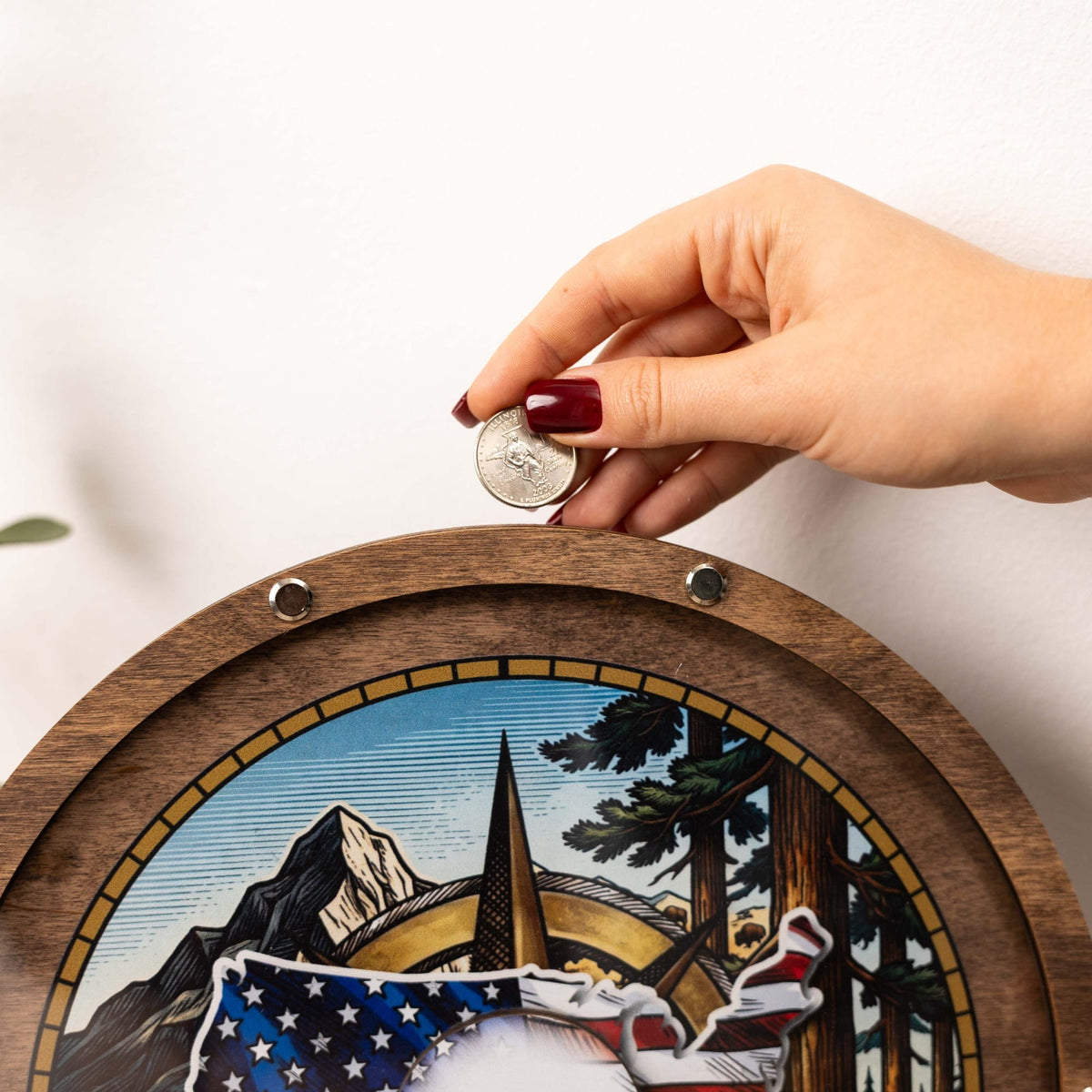 Coin Collection Display - American Spirit