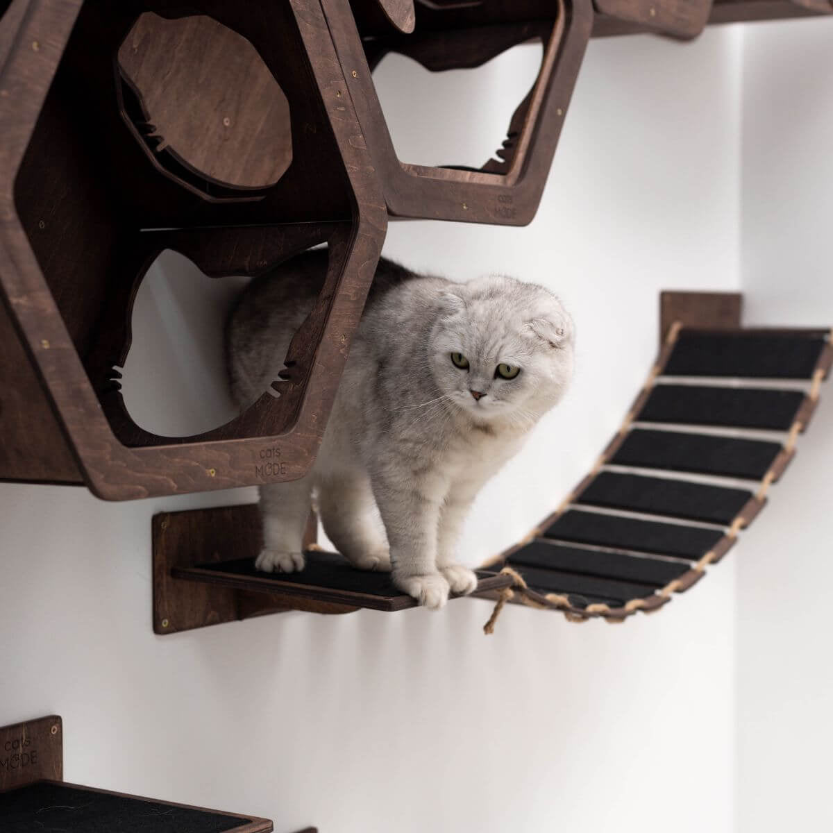 wooden cat bridge in dark walnut color covered with black felt with cat on it
