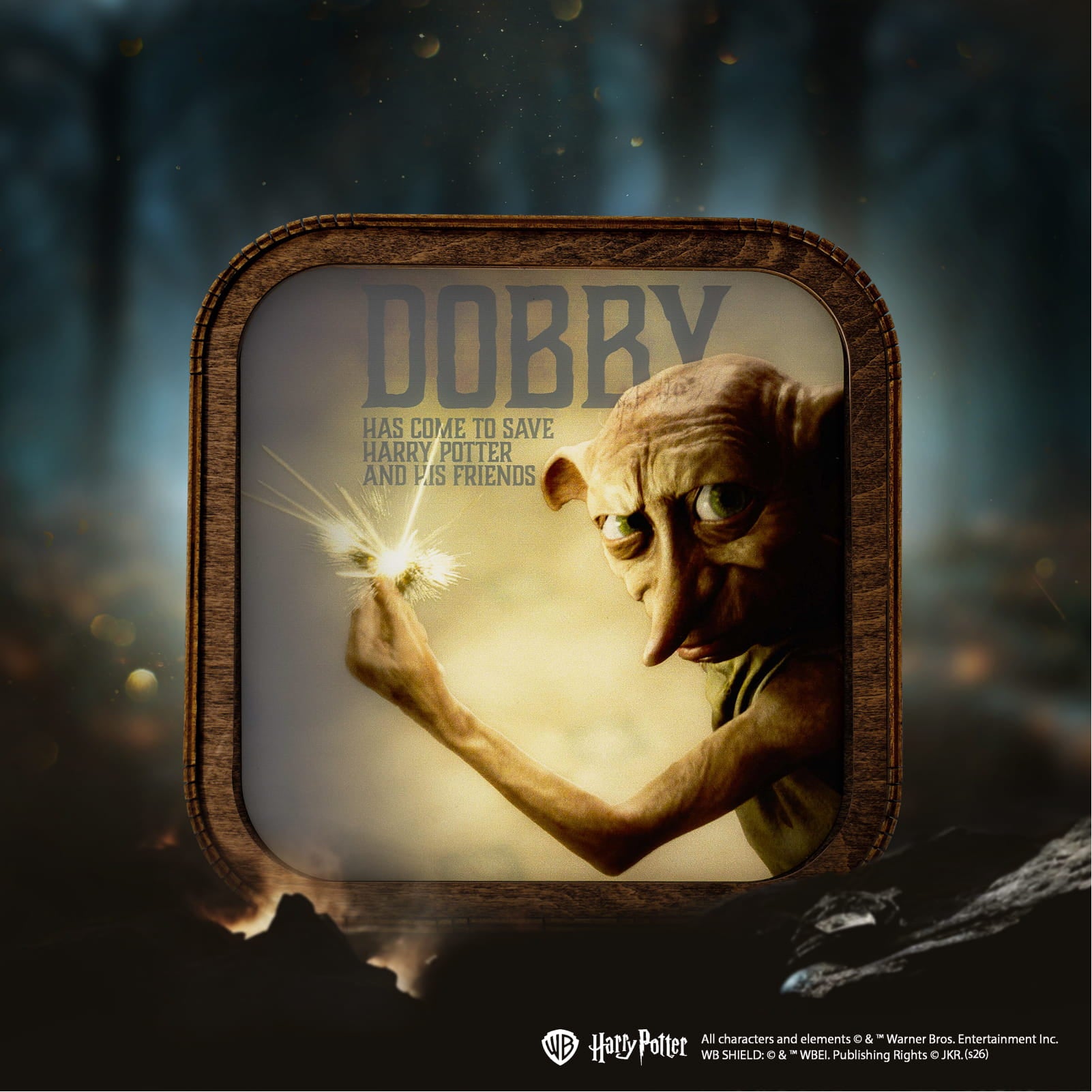 Veilleuse Harry Potter en bois et acrylique-Dobby est venu sauver