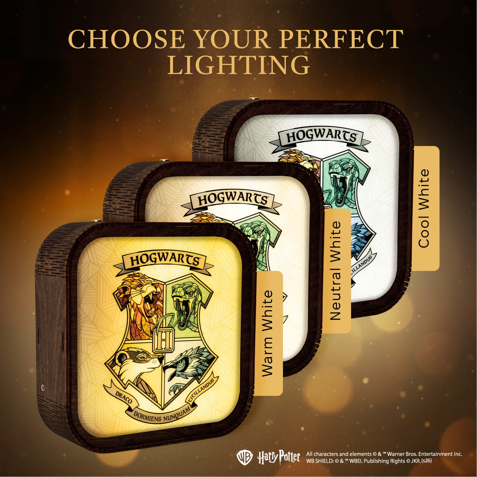 Veilleuse Harry Potter en bois acrylique-Blason de Poudlard