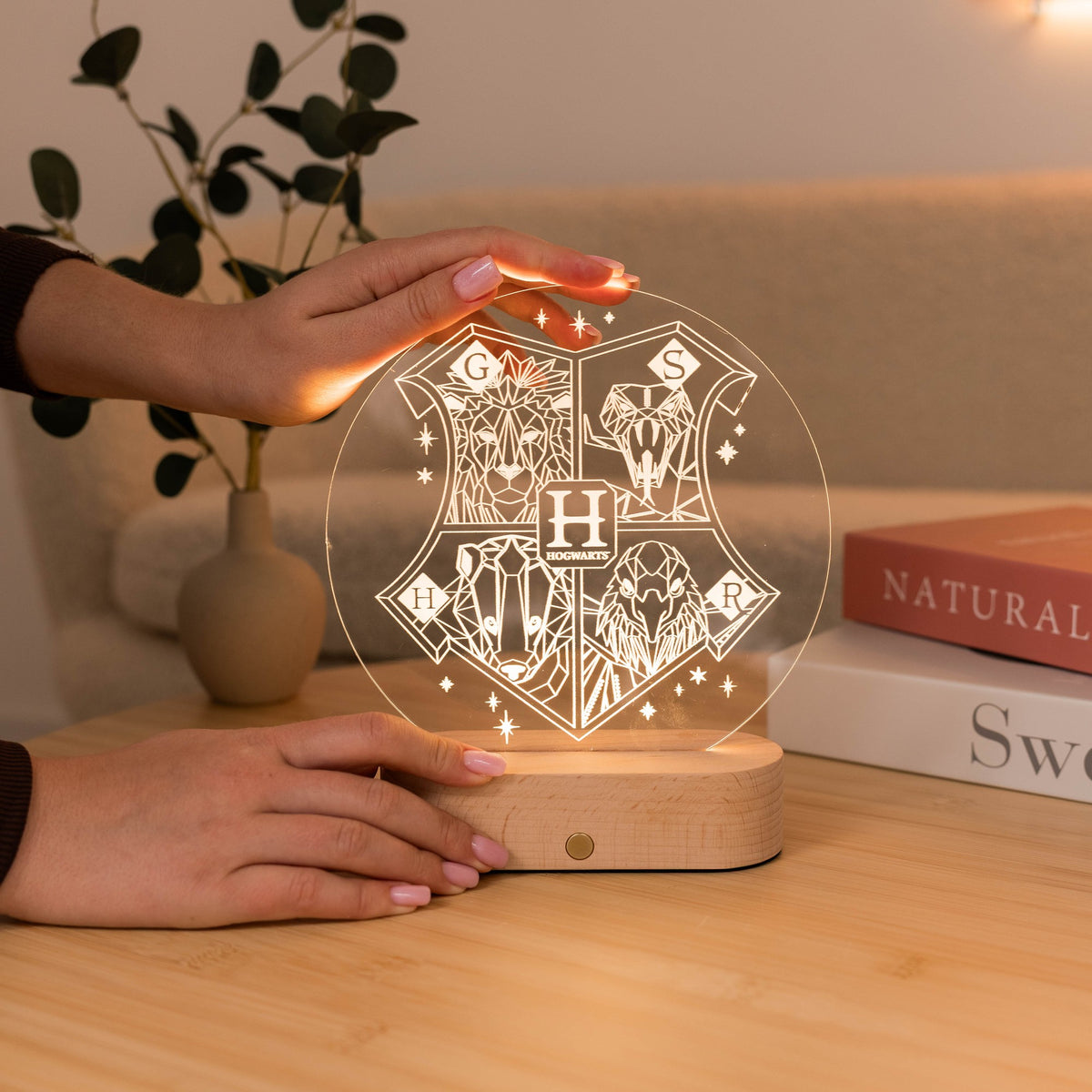 Acrylic Harry Potter Night Light - Hogwarts Crest by Enjoy The Wood
