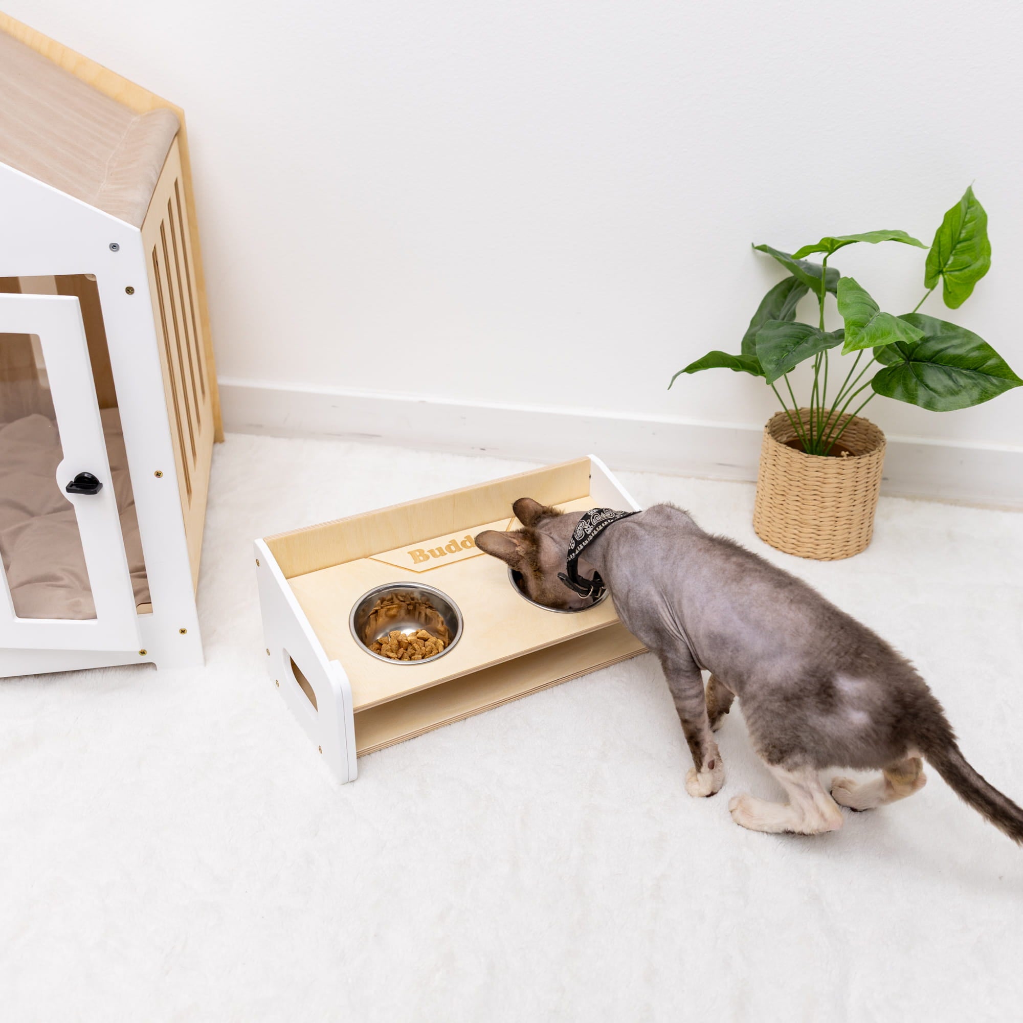 Pet Bowl Stand - Angled by Enjoy The Wood