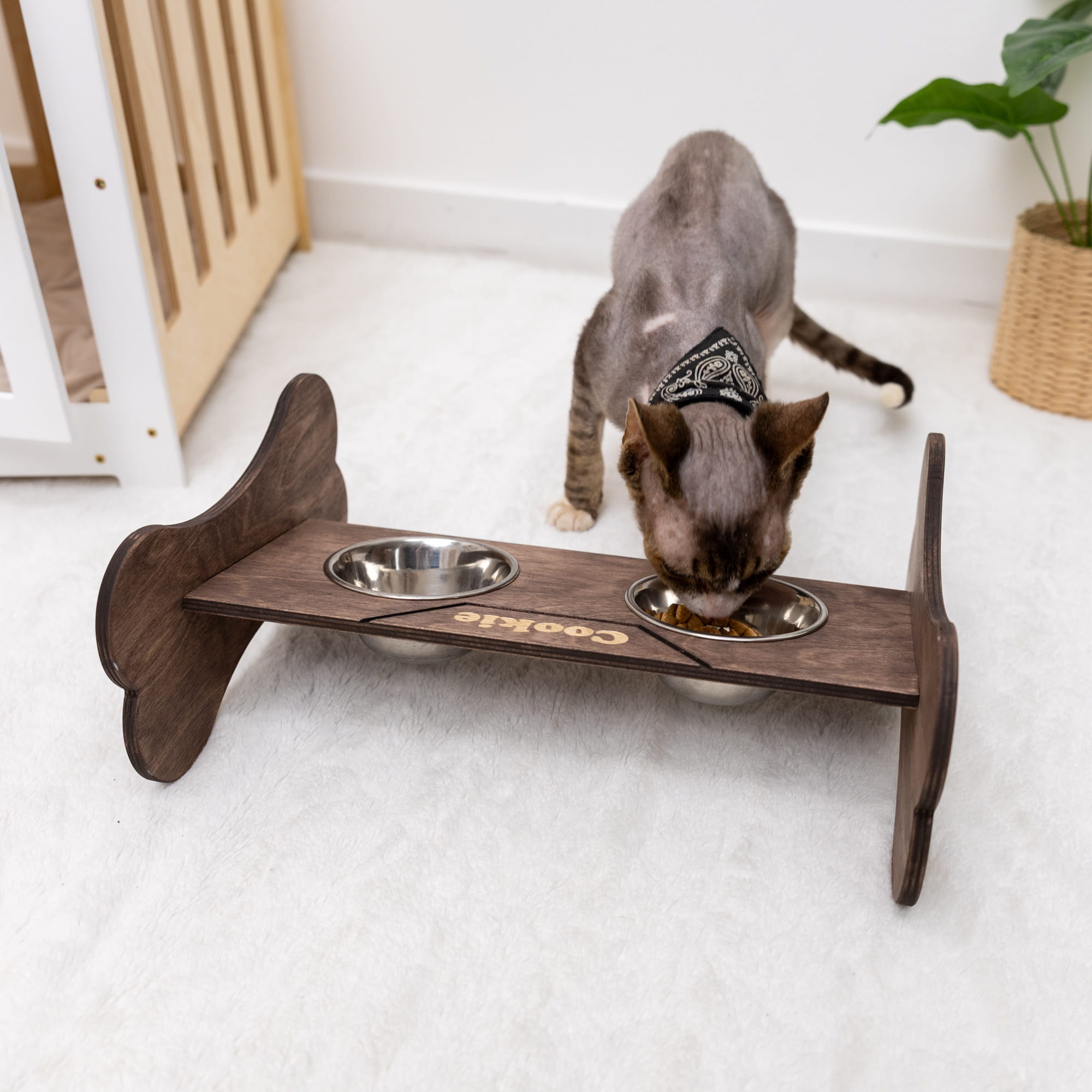 Pet Bowl Stand - Bone-Shaped by Enjoy The Wood