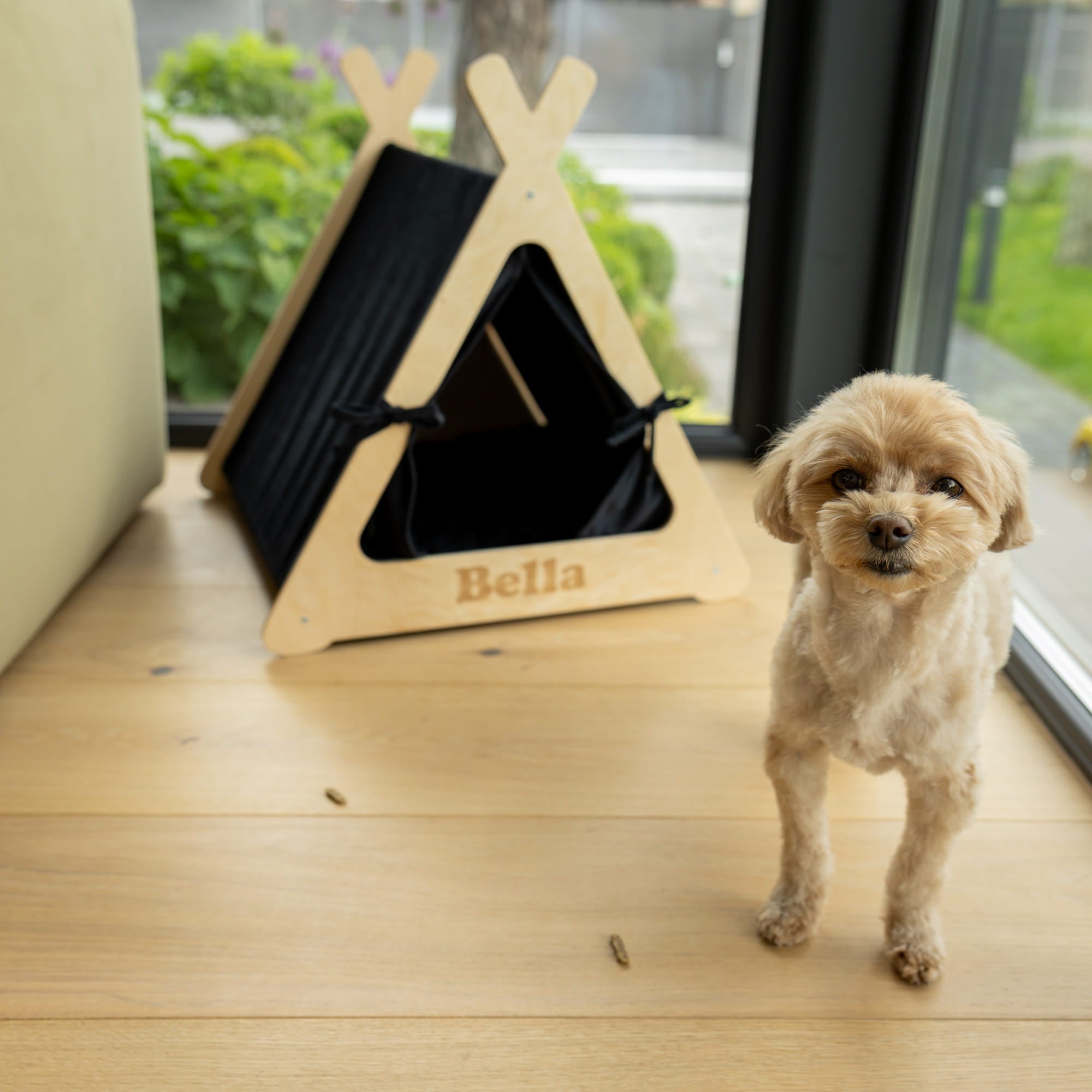 Small dog standing next to a wooden pet tent with a black interior on a wooden floor.
