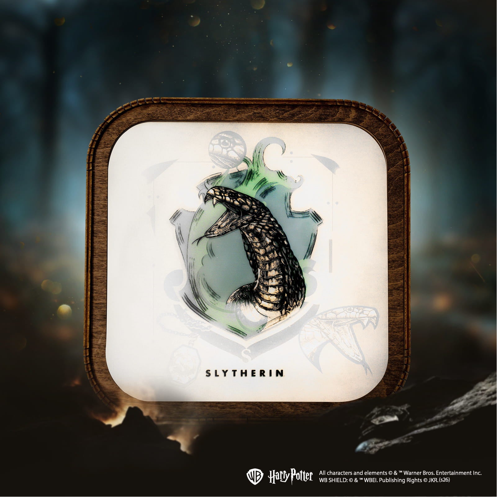 Wooden Acrylic Harry Potter Night Light - Serpent of Slytherin by Enjoy The Wood