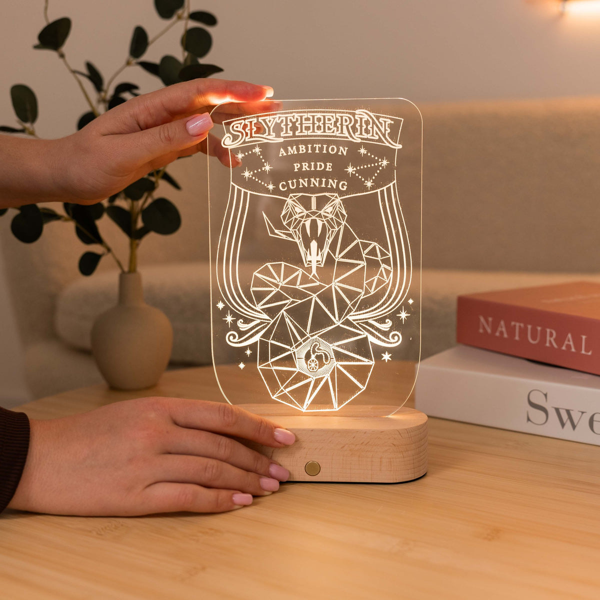 Acrylic Harry Potter Night Light - Serpent of Slytherin by Enjoy The Wood