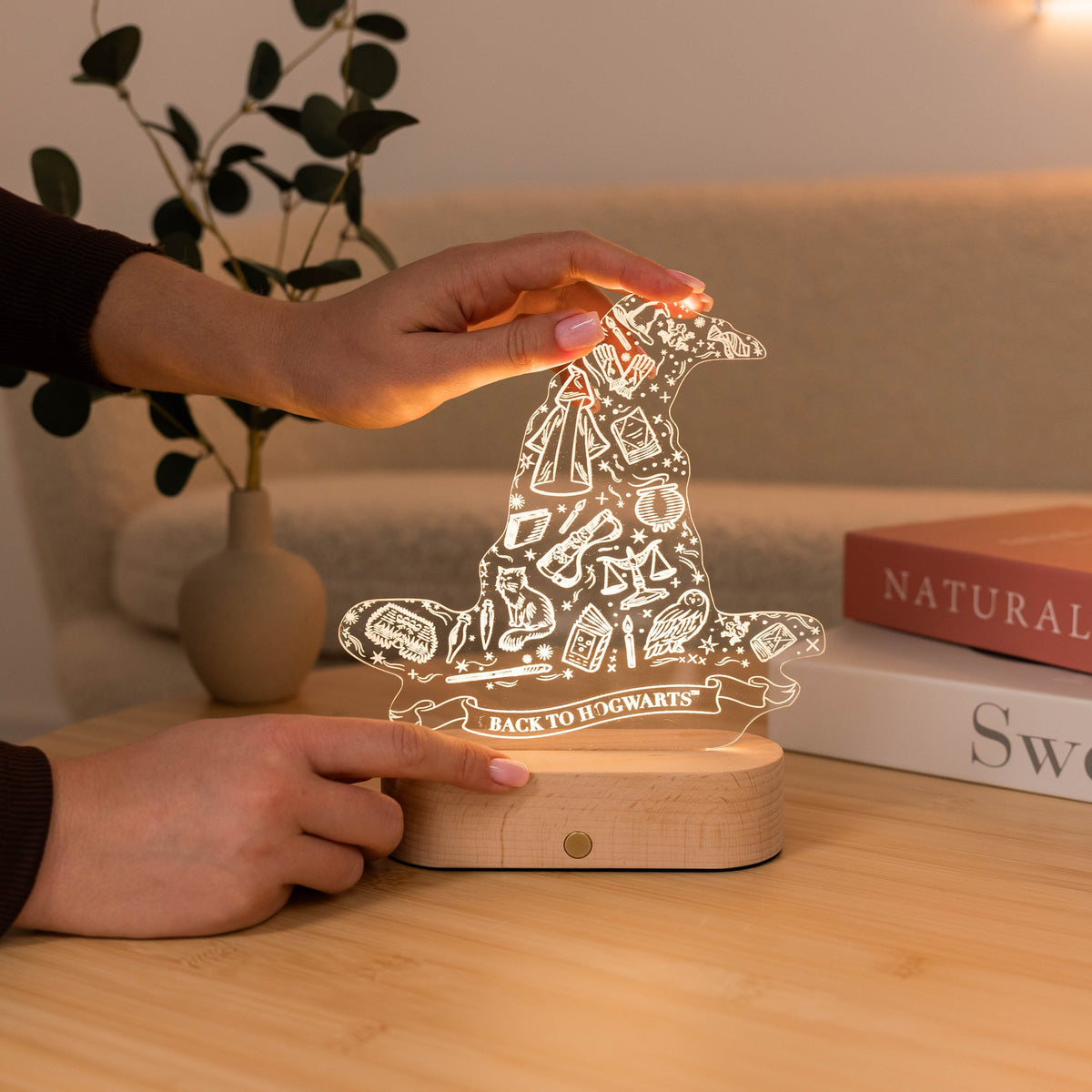 Acrylic Harry Potter Night Light - The Sorting Hat by Enjoy The Wood