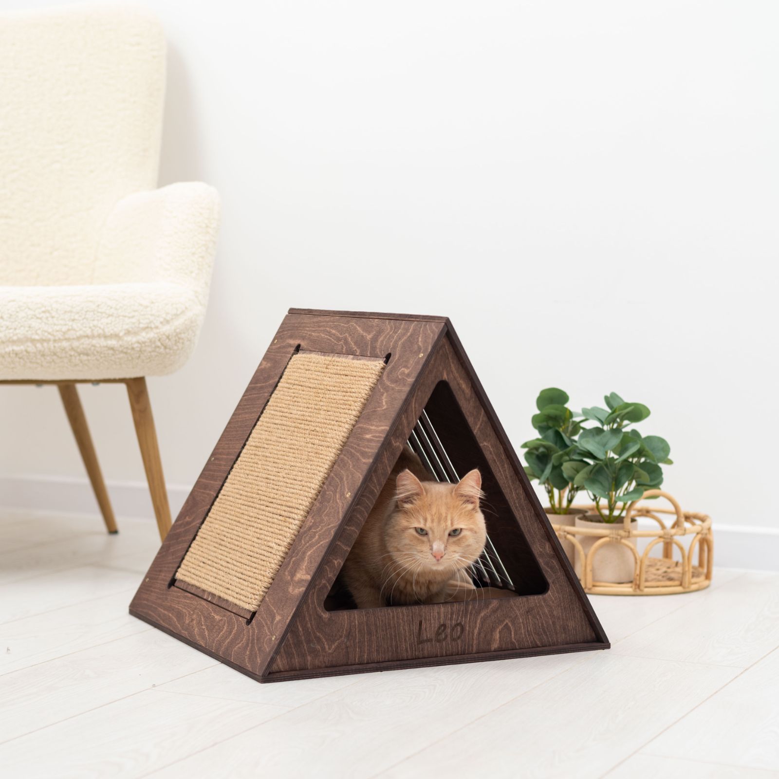 cat house
