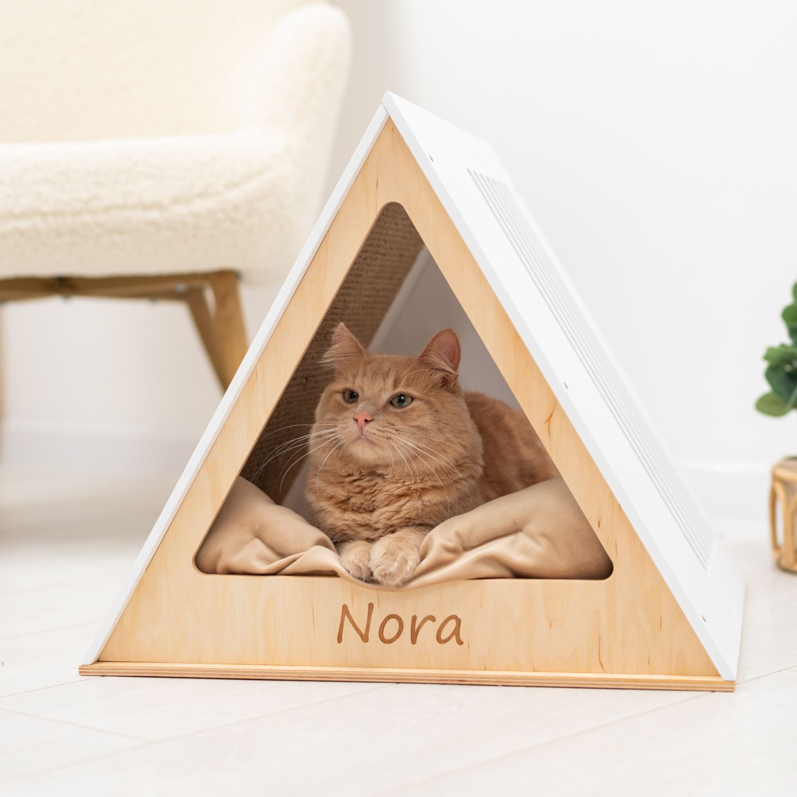 cat house wood