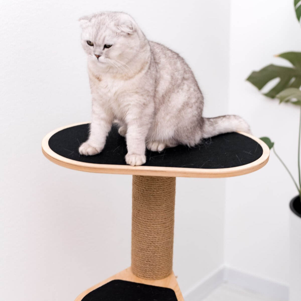 cat tower for small spaces with black felt on steps