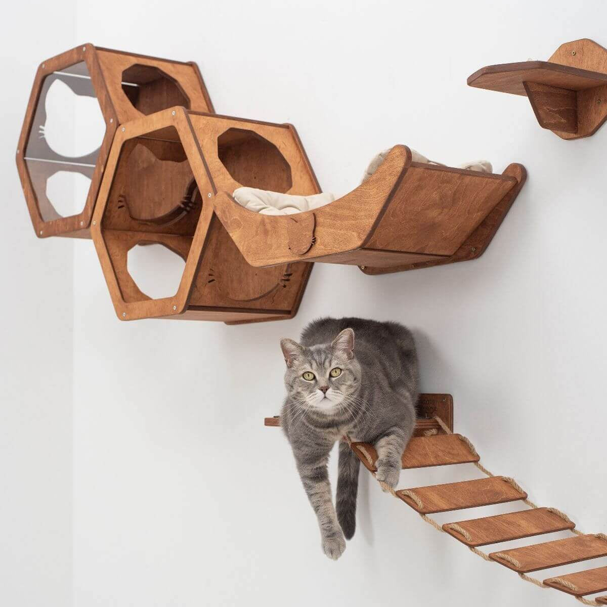 floating cat shelf bed