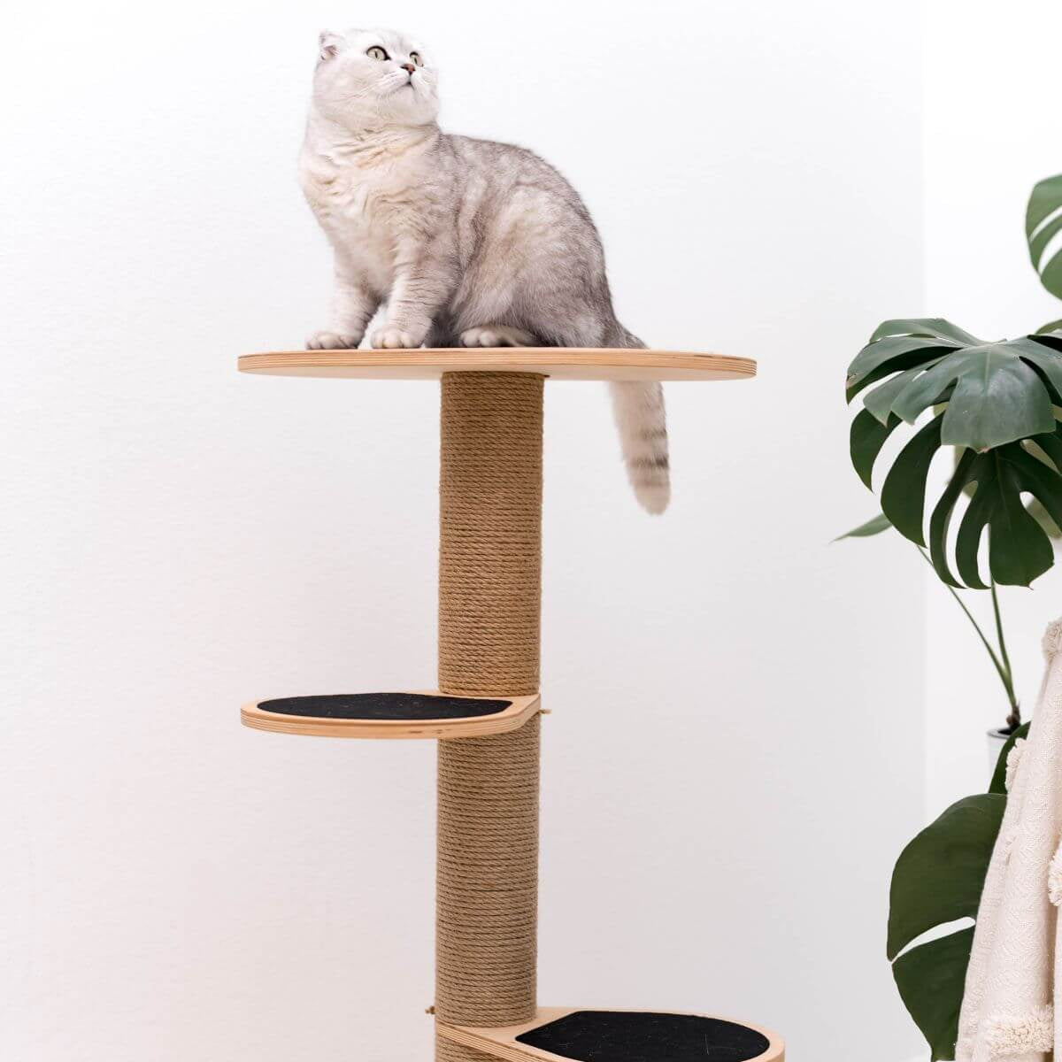 cat tower for small spaces made from wood