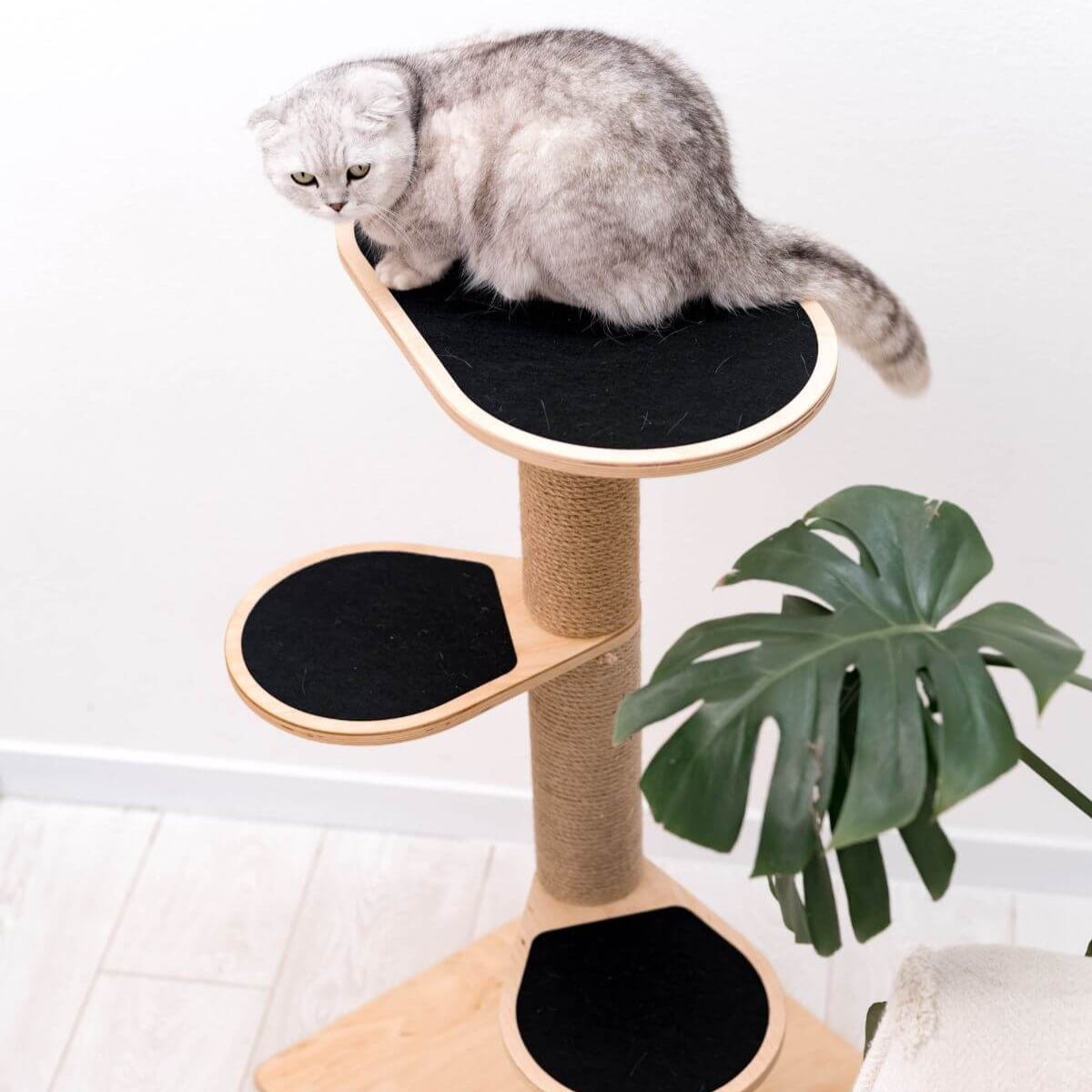 cat tower small
