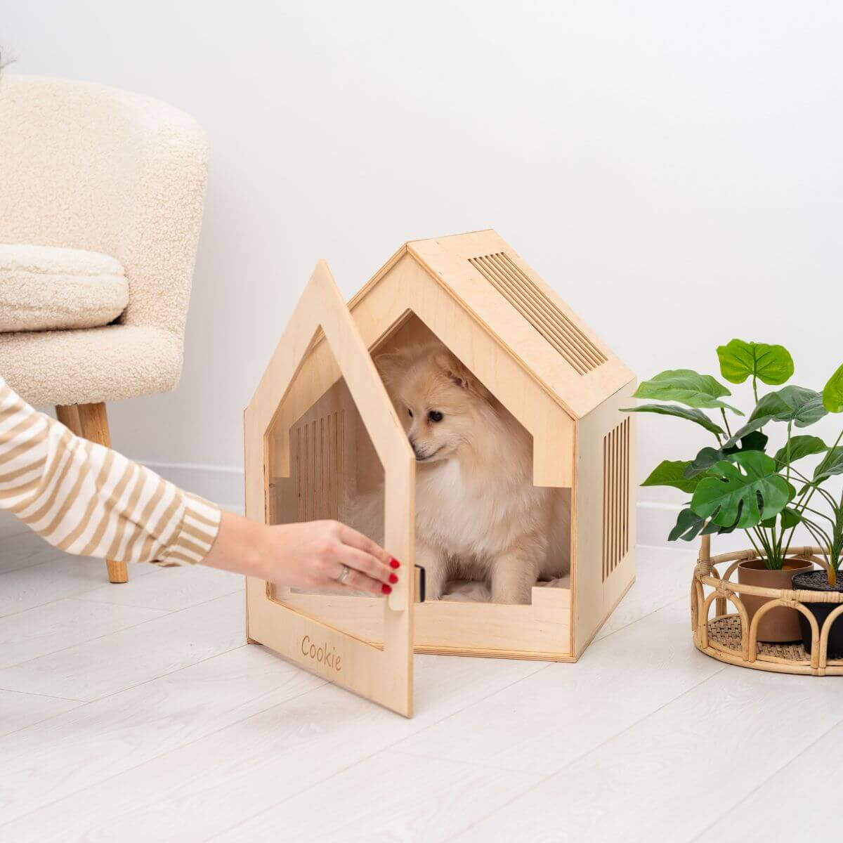 indoor small dog house