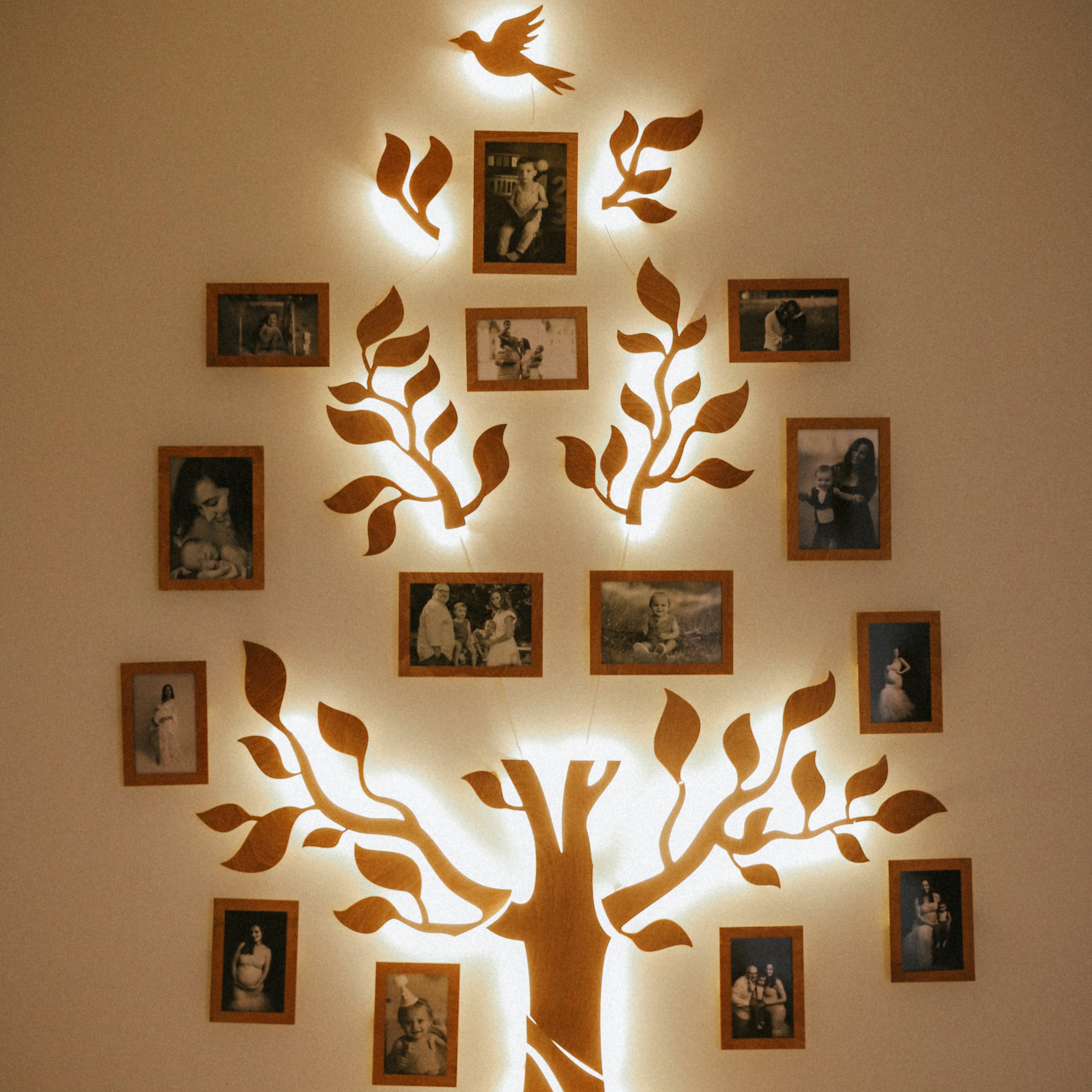 Illuminated wooden family tree wall decor with photo frames and bird design.