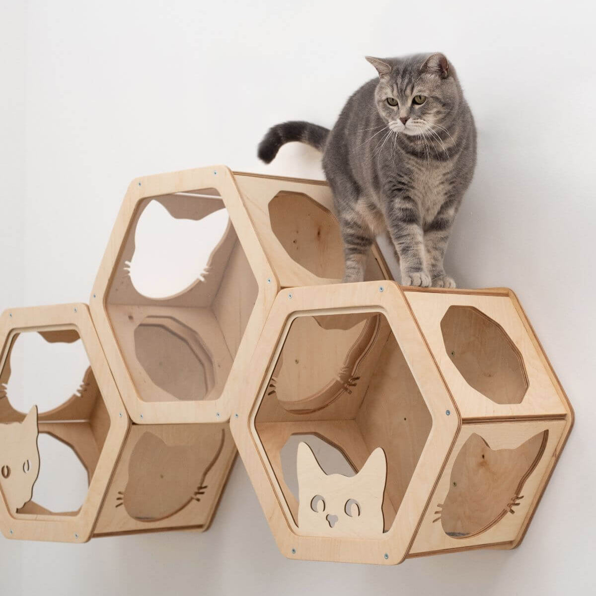 set of three hexagon cat wall shelves