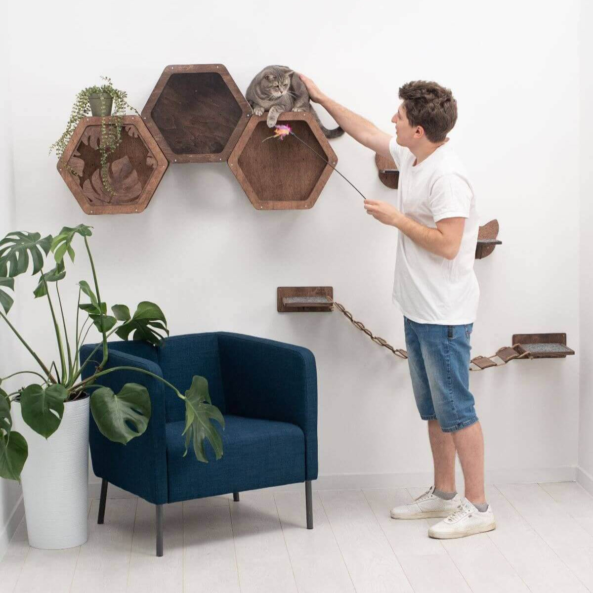 cat shelves hexagon shape made from wood