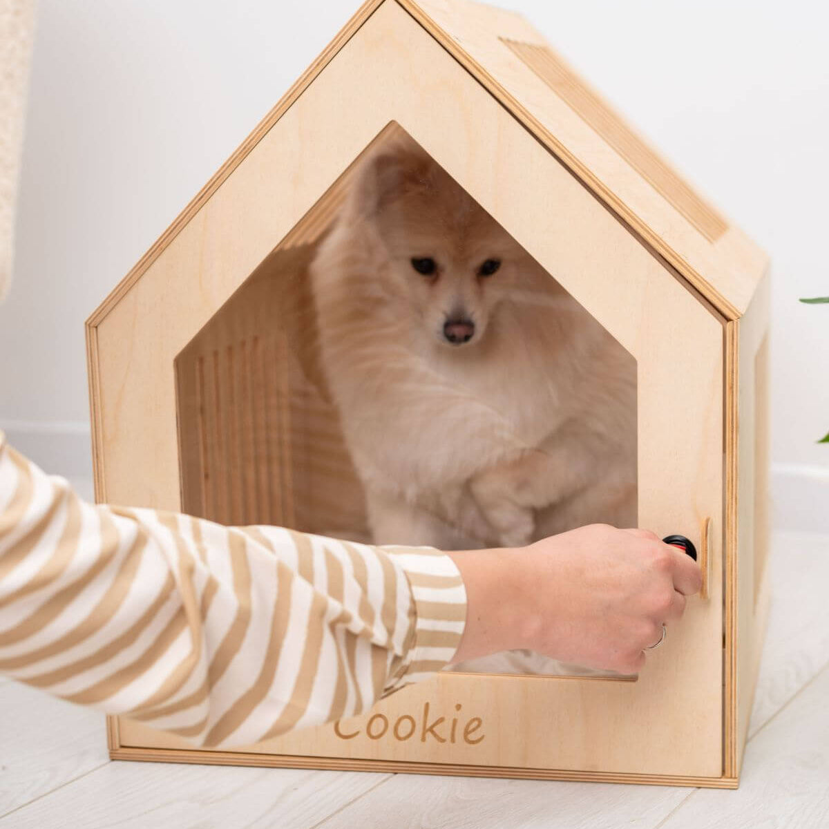 indoor wooden dog house