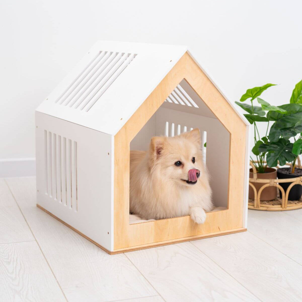 large indoor dog house