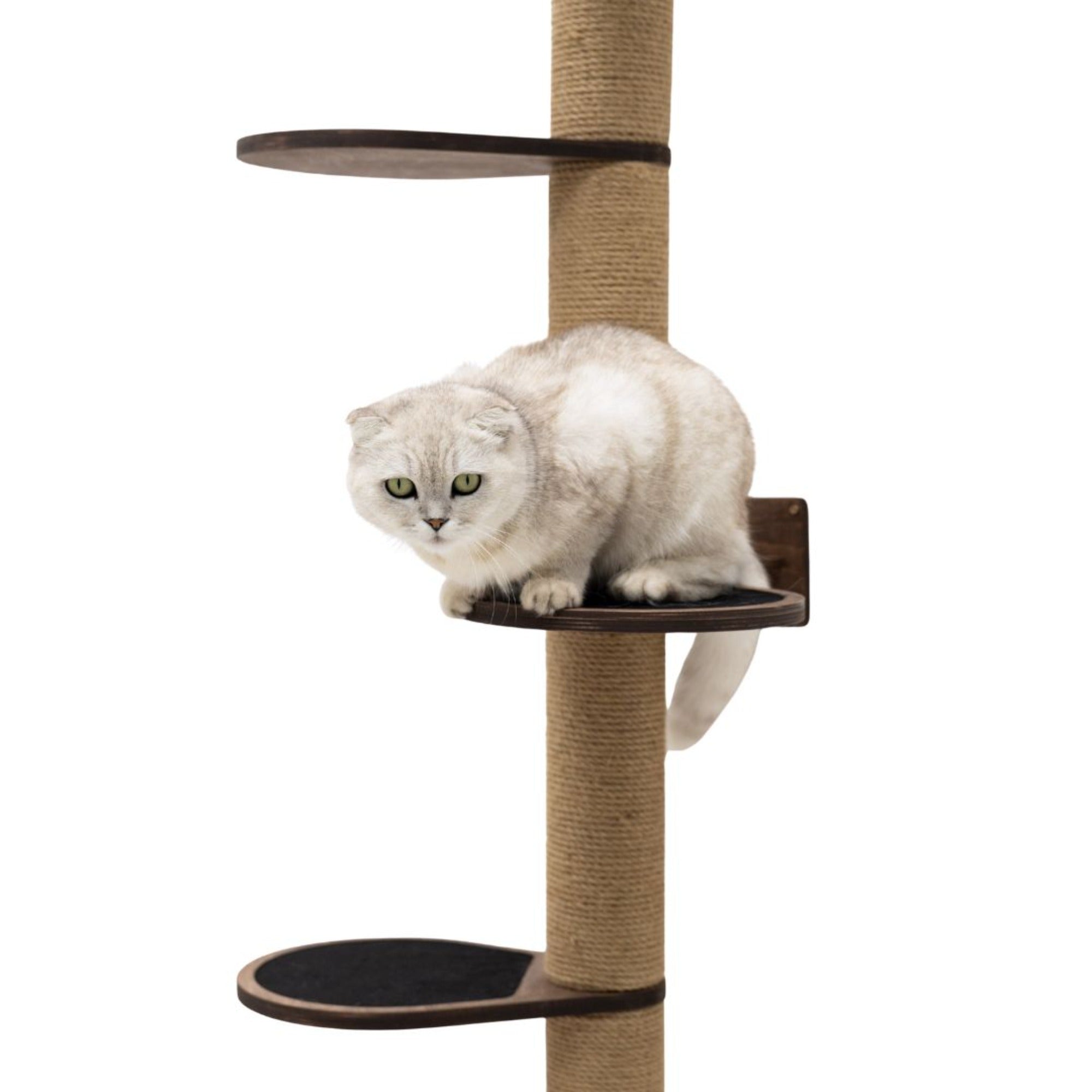 Large Cat Tree – Dark Walnut