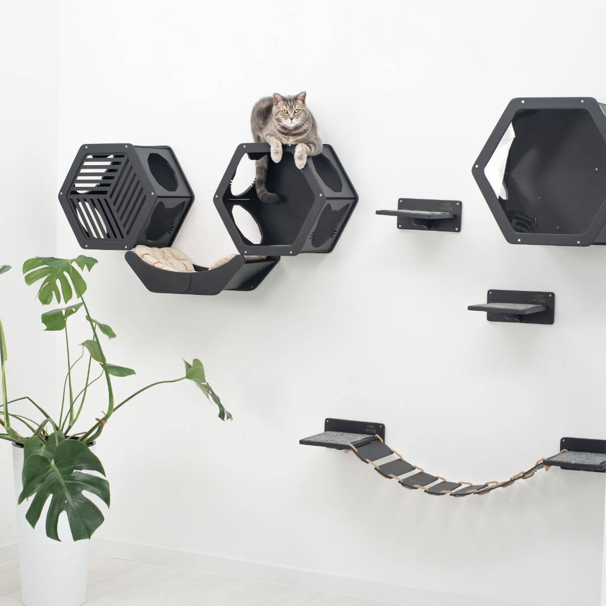 curve wall mounted cat bed