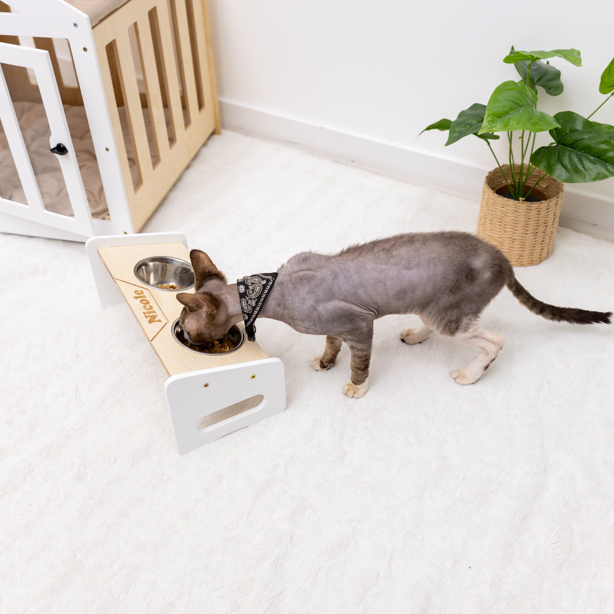 Pet Bowl Stand - Classic by Enjoy The Wood
