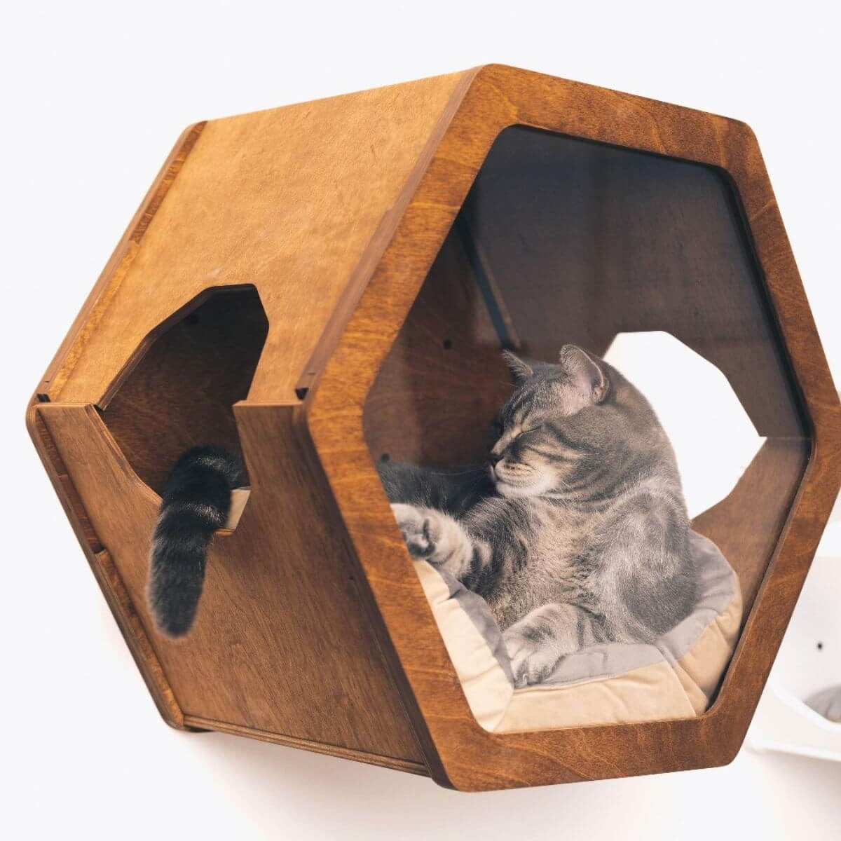 cat cushion pillow in cat wall shelf