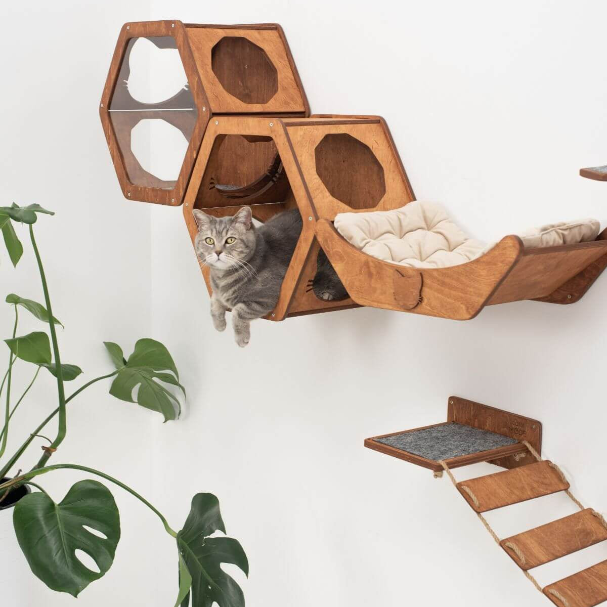 pillows for cats to sleep on