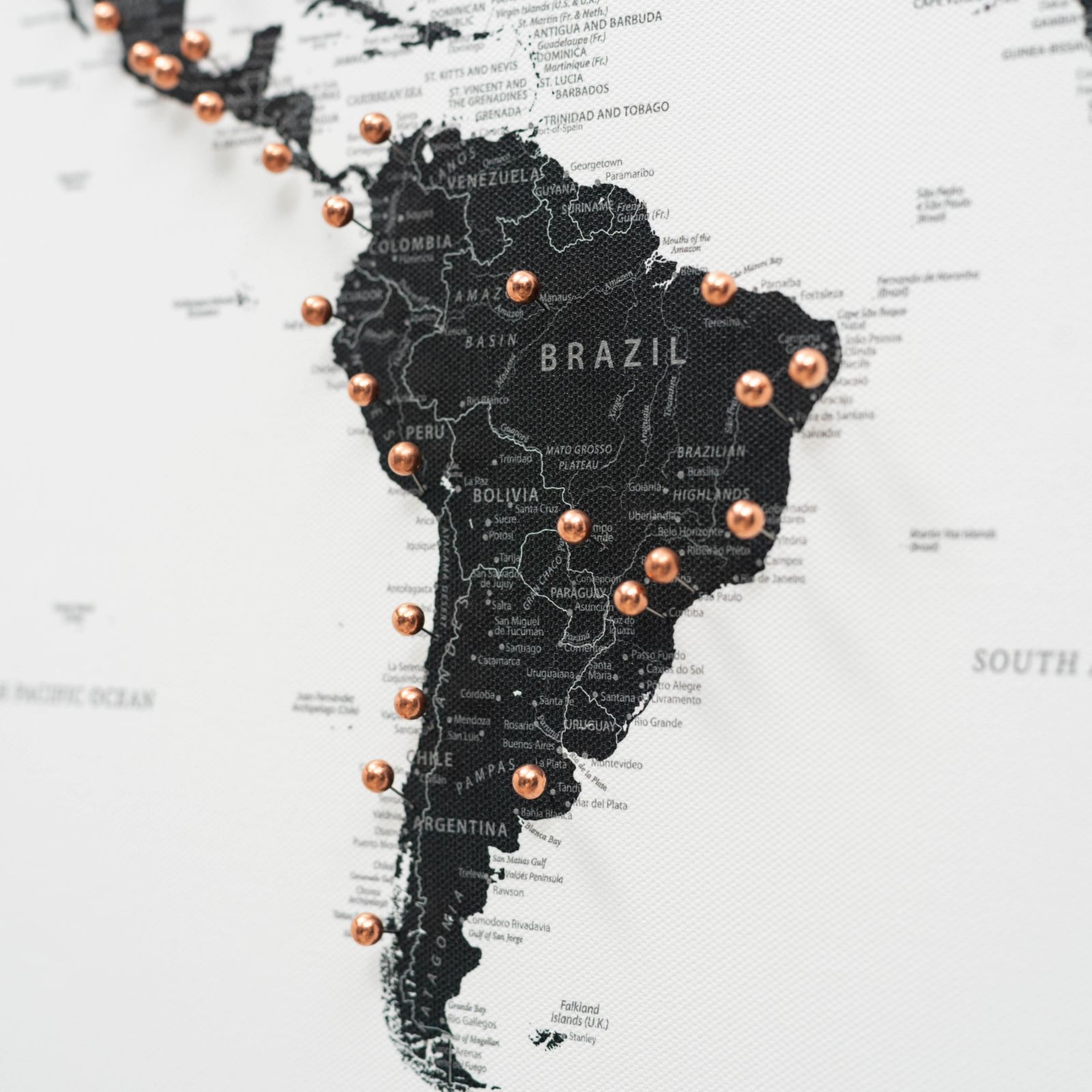 Chinchetas para lona - Oro rosa