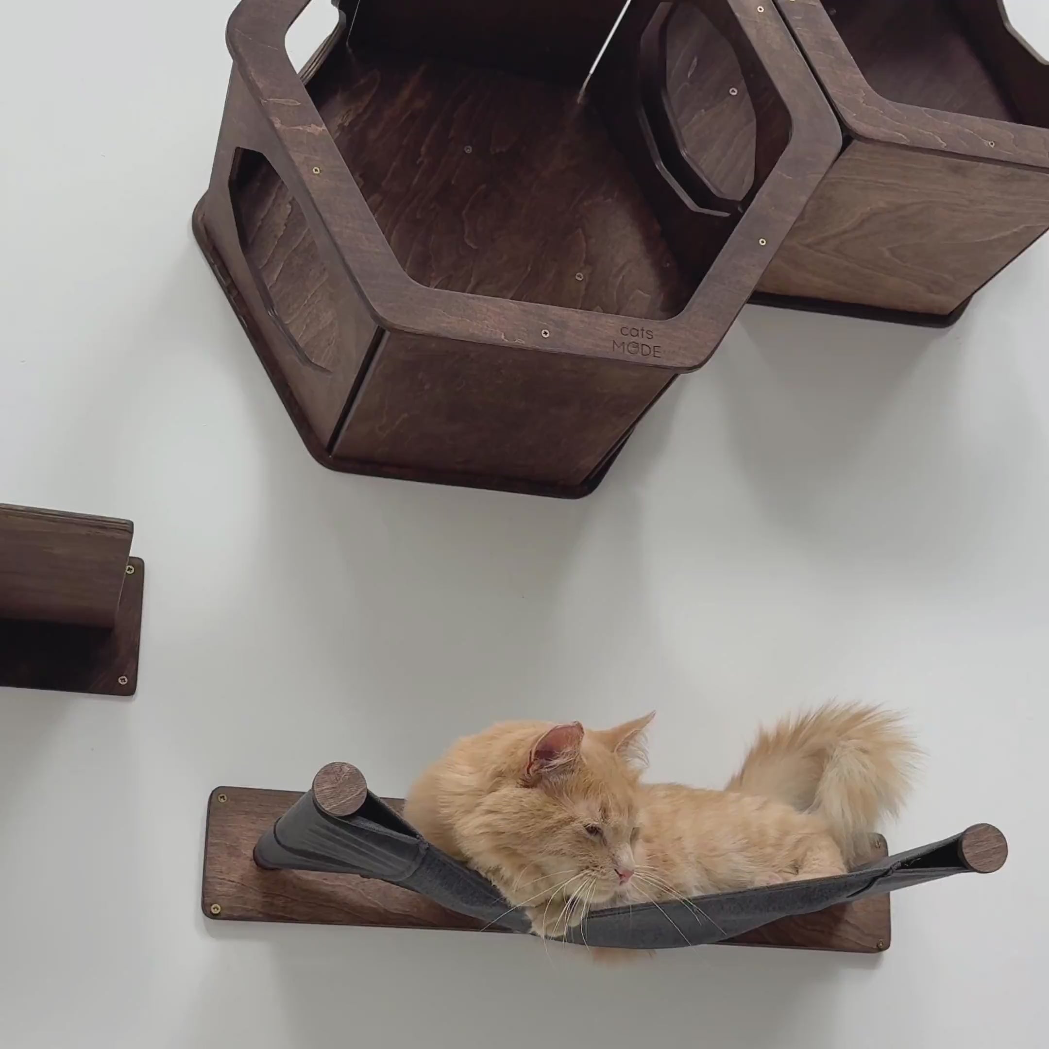 Dark wood cat wall system with cozy hammock and climbing boxes.