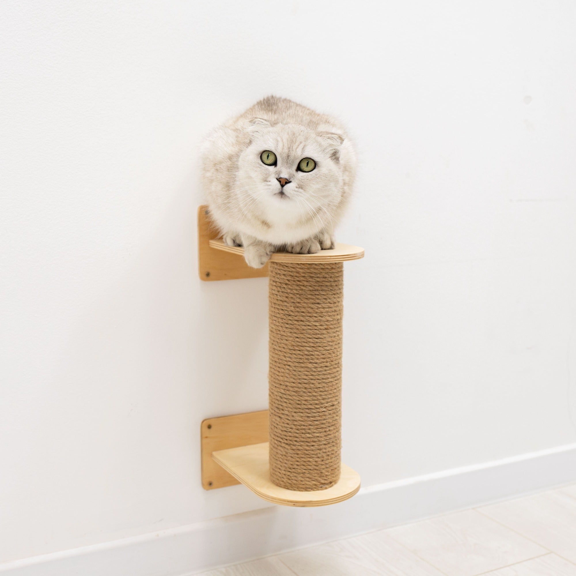 Small Cat Tree – Light