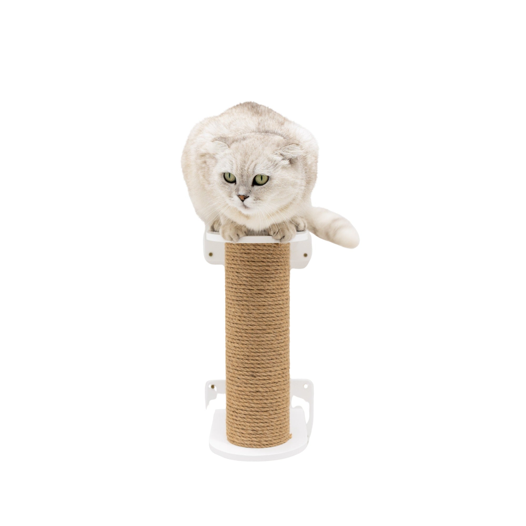Small Cat Tree – White