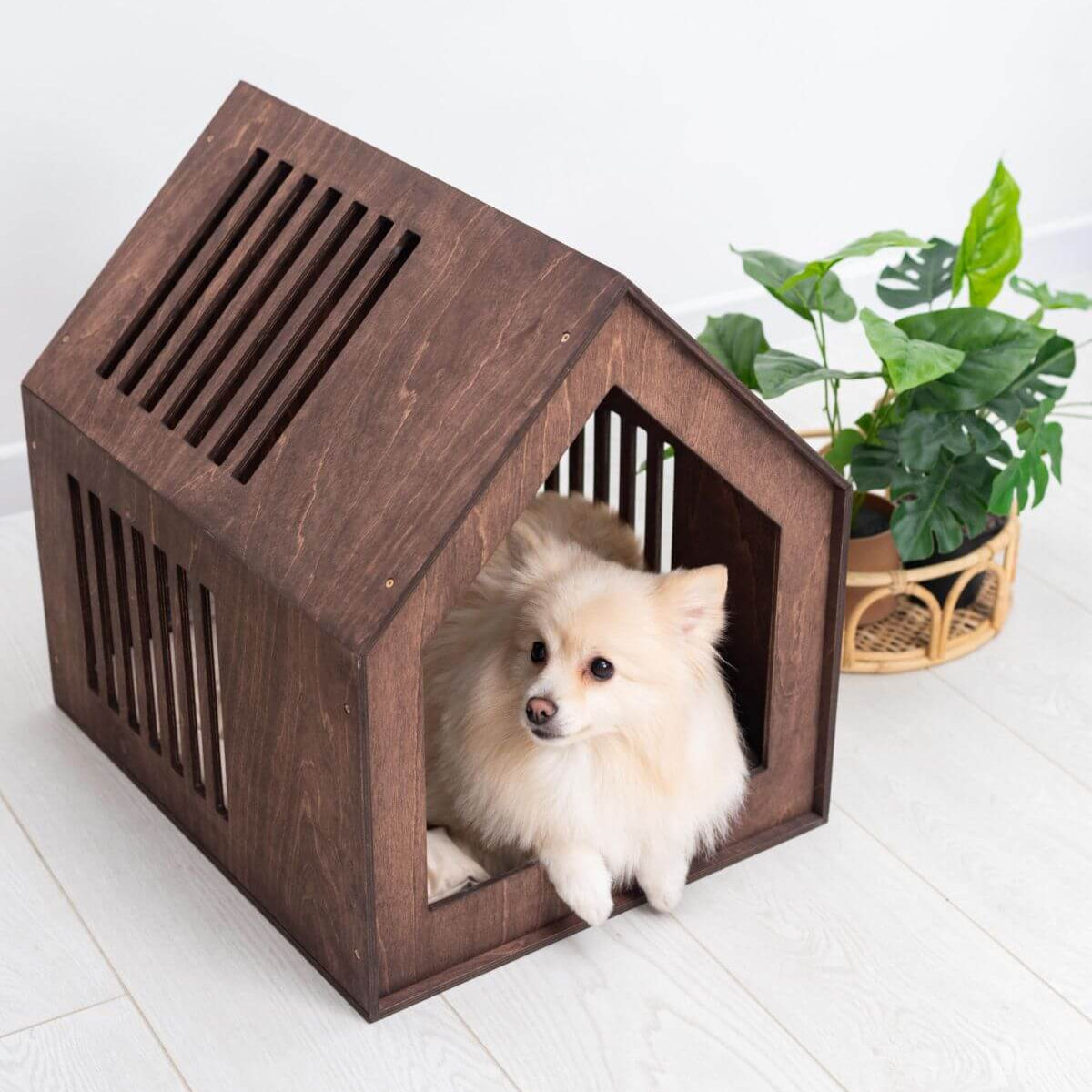 small dog house indoor