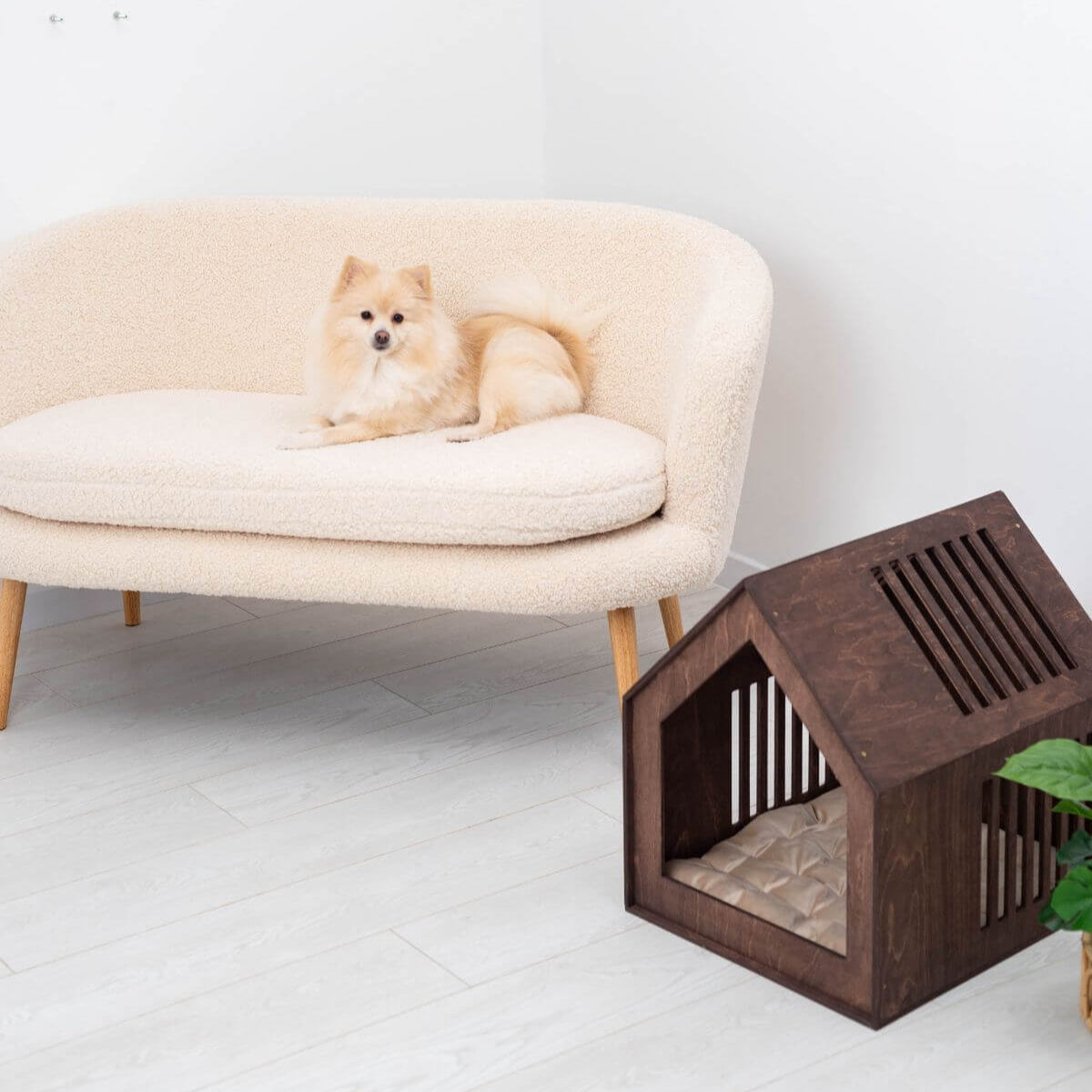 small indoor dog house