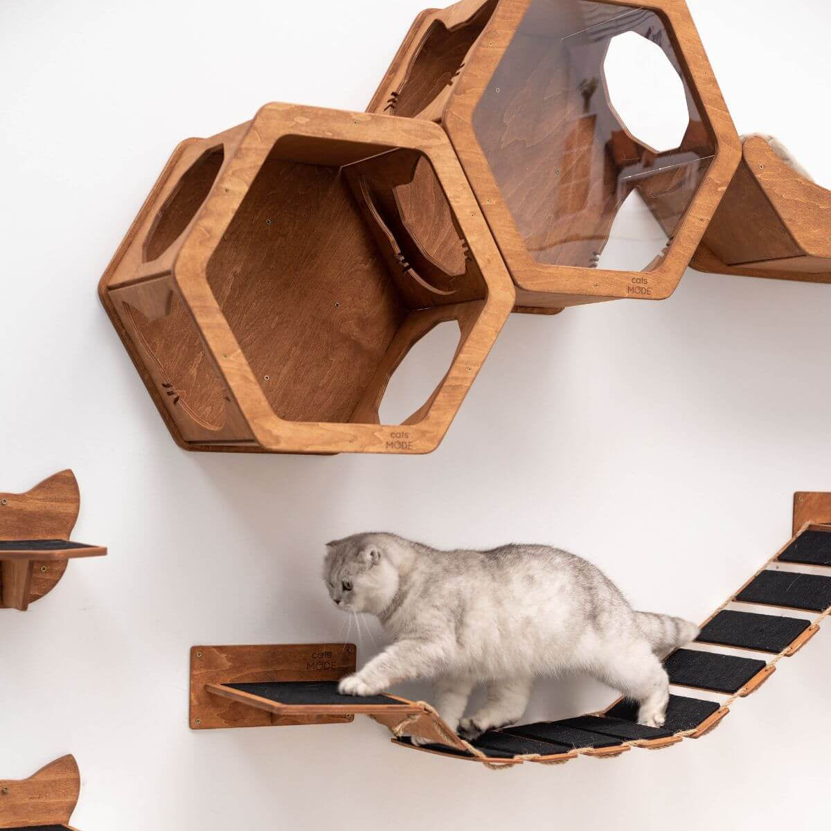 rope bridge for oak color with grey cat walking onit