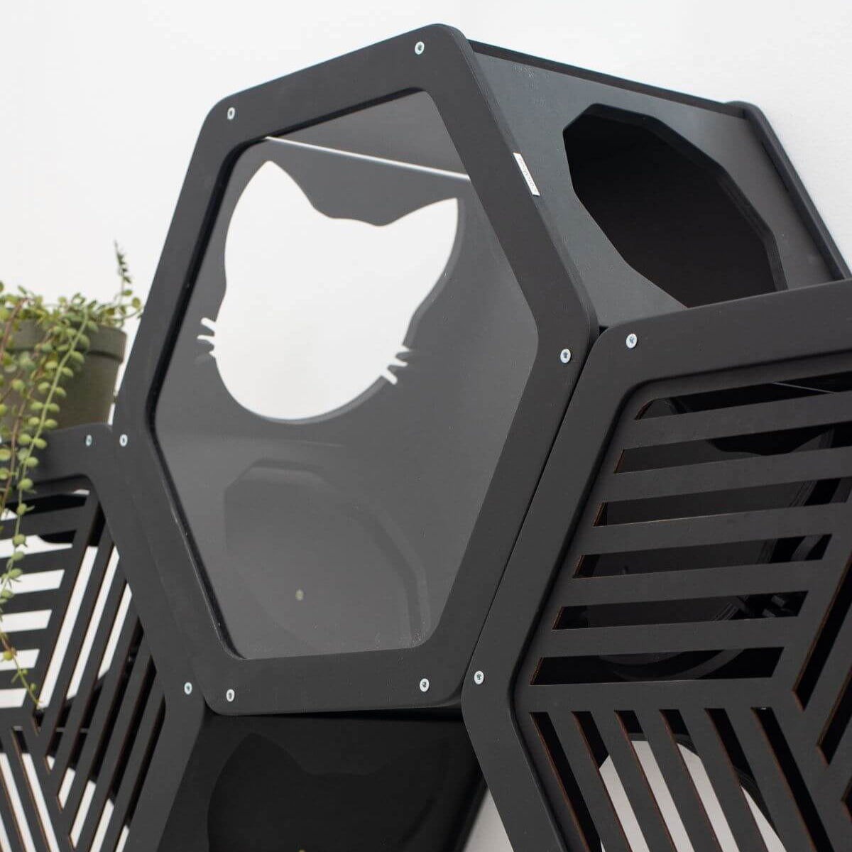 three cat wall mounted shelves with various frames in black color