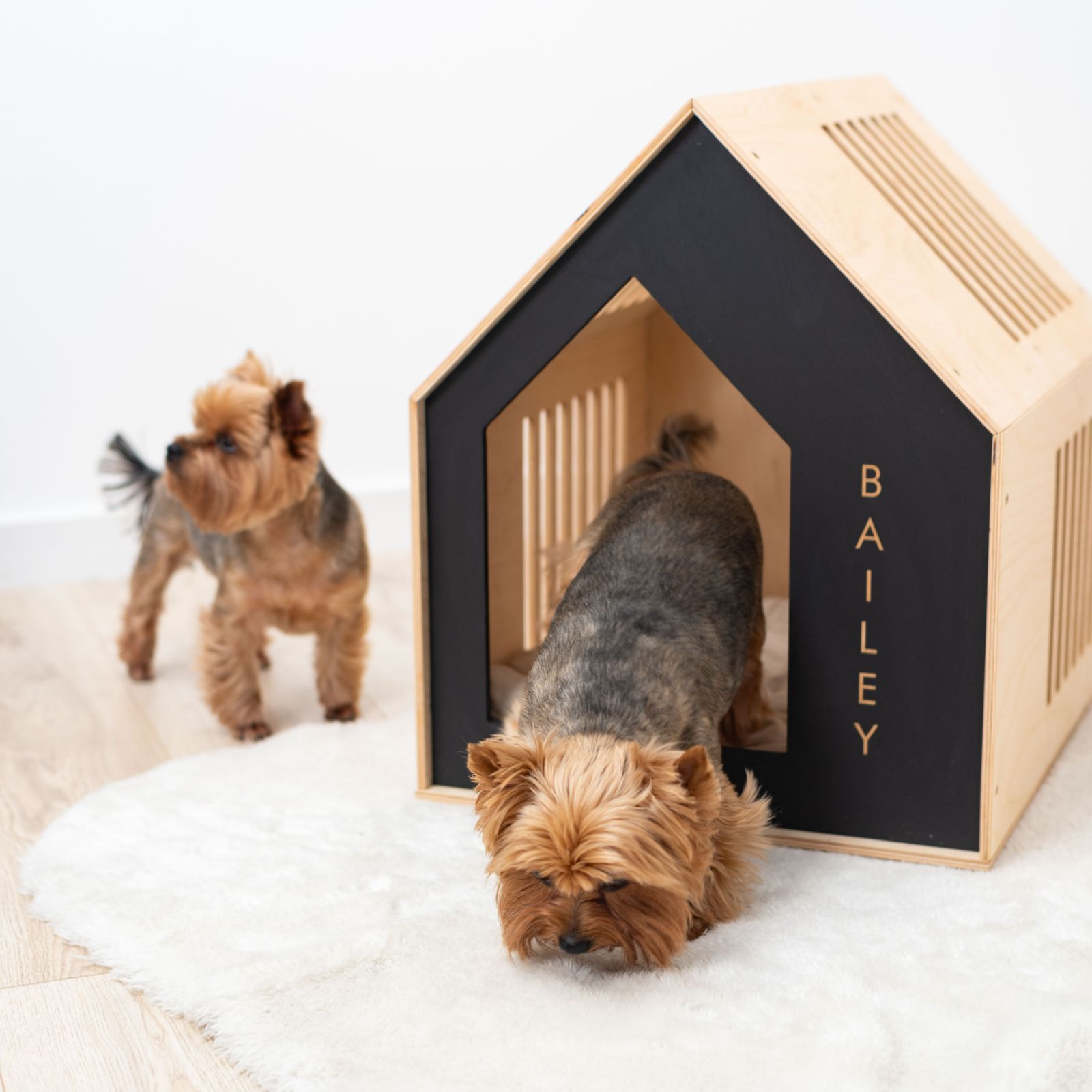 wood dog house