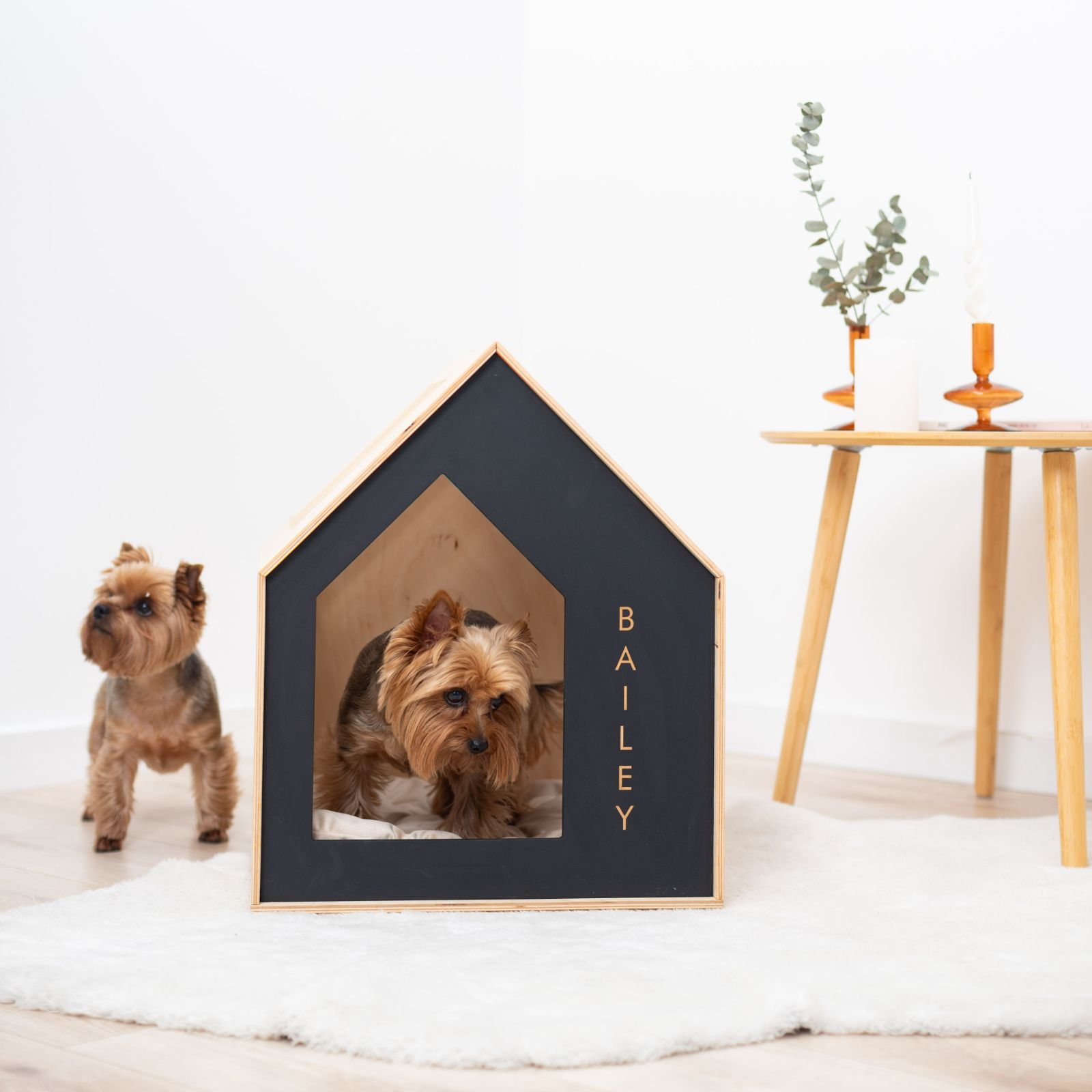 custom dog house