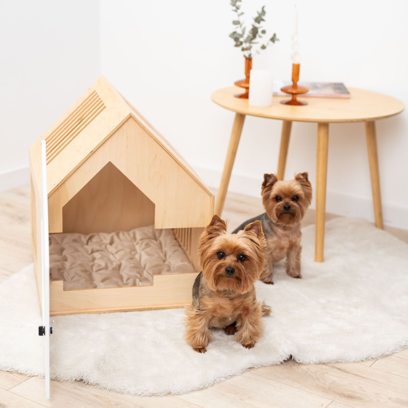 small dog house indoor
