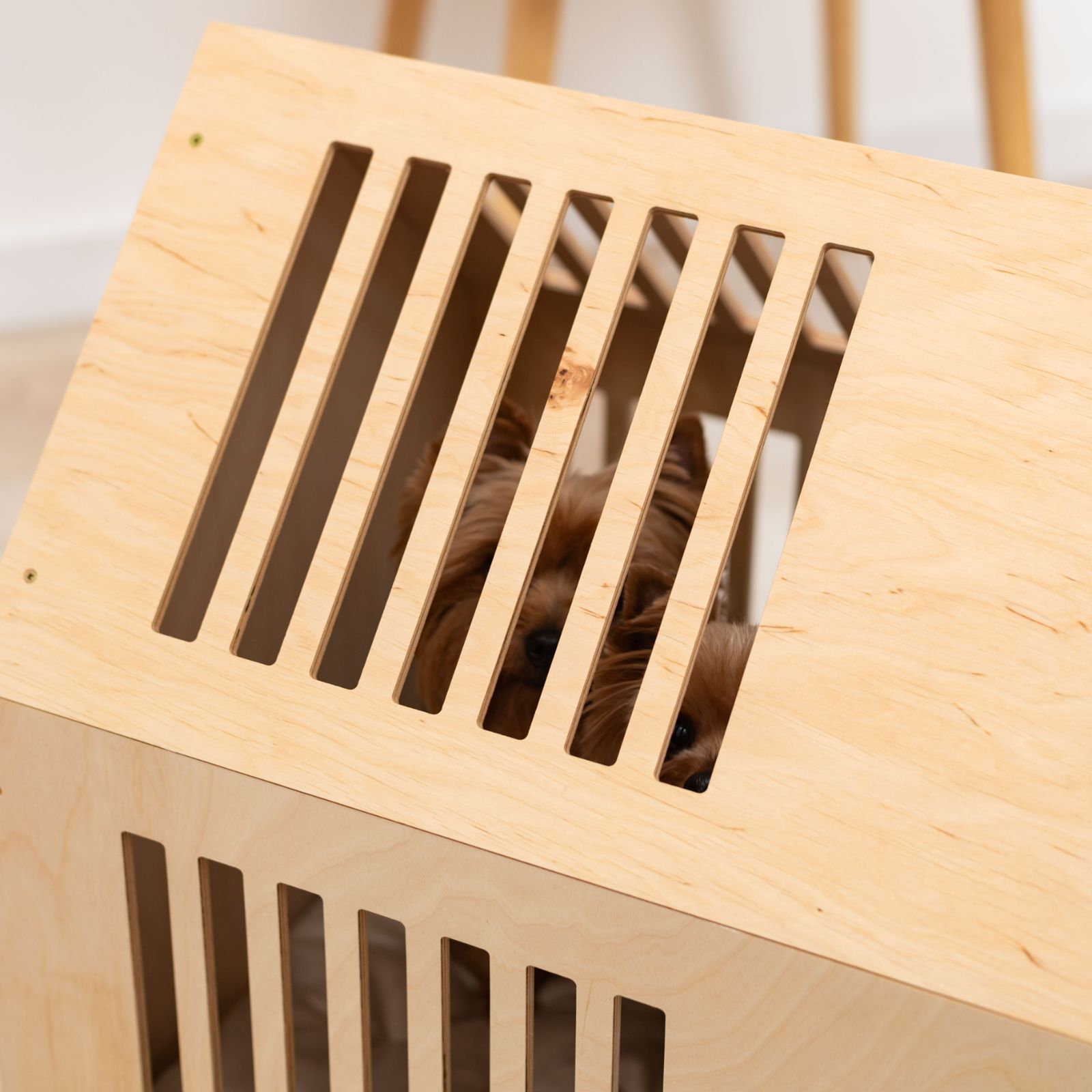 small dog house indoor