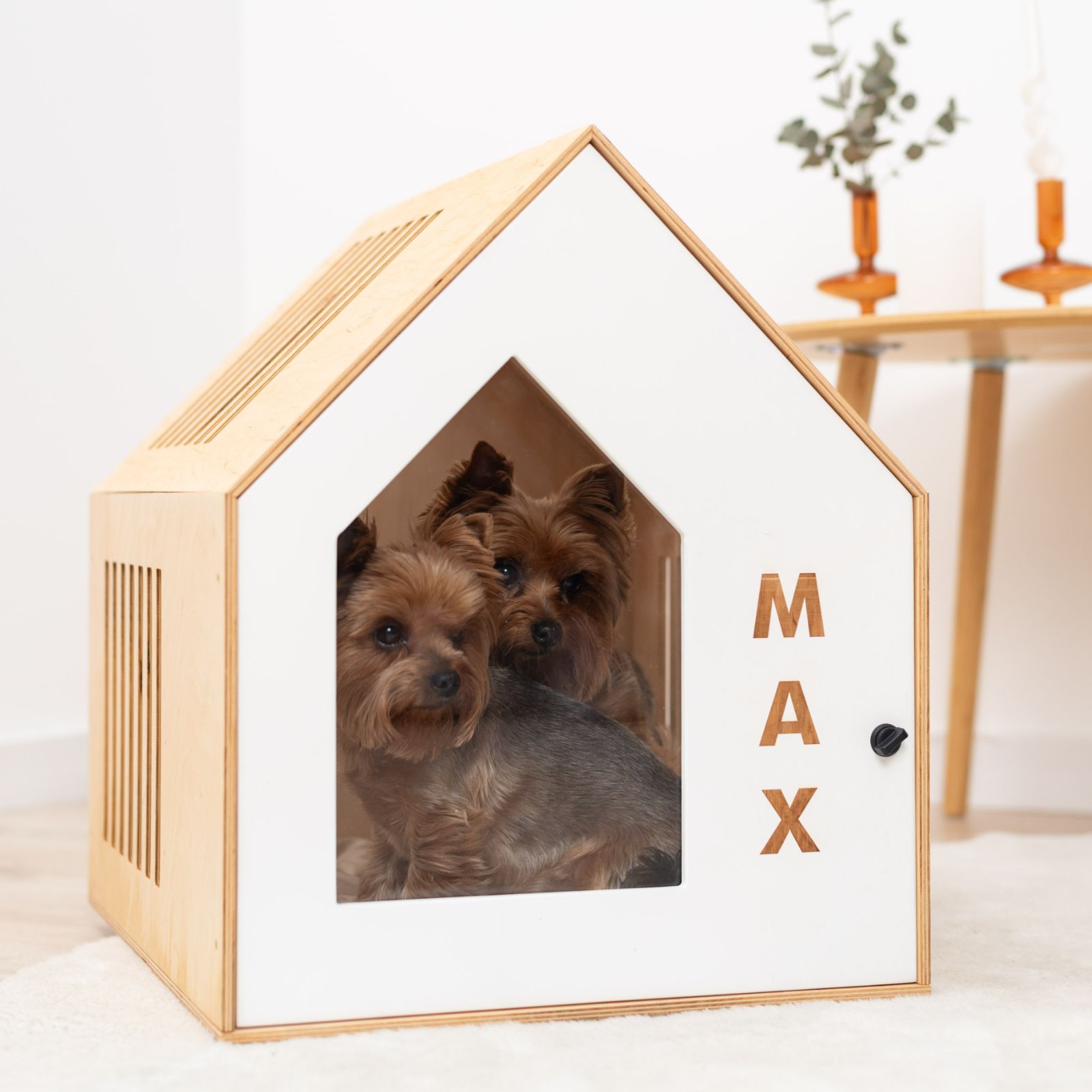 small dog house indoor