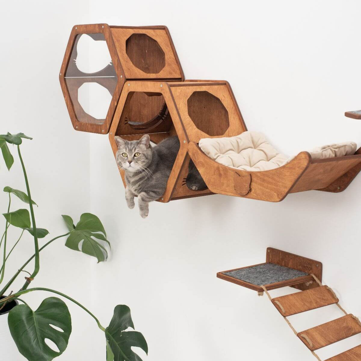 wooden cat shelf in oak wood color with cat on it