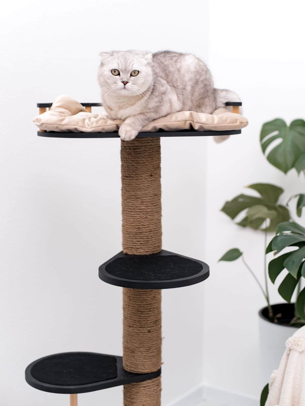 natural wood cat tree with cat cushion