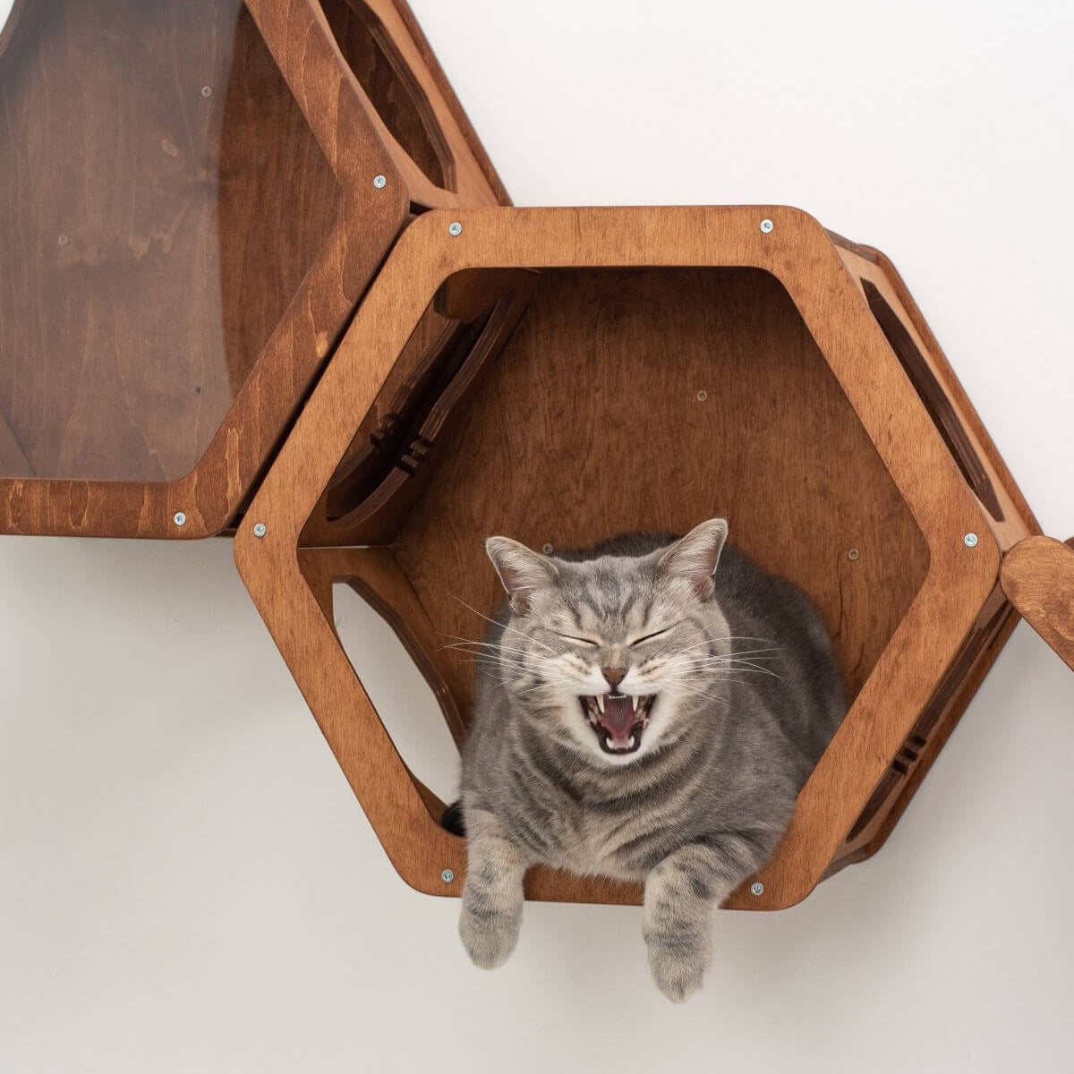 wood cat shelf with grey color on it