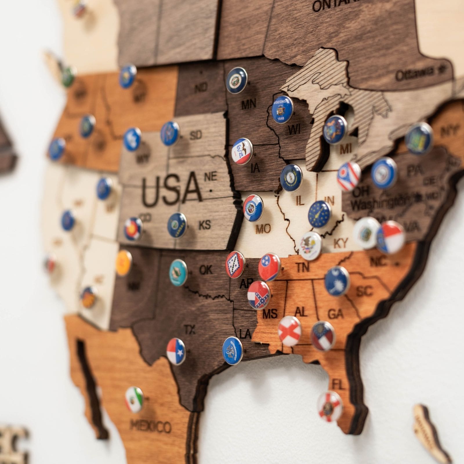 3d world map multicolor
